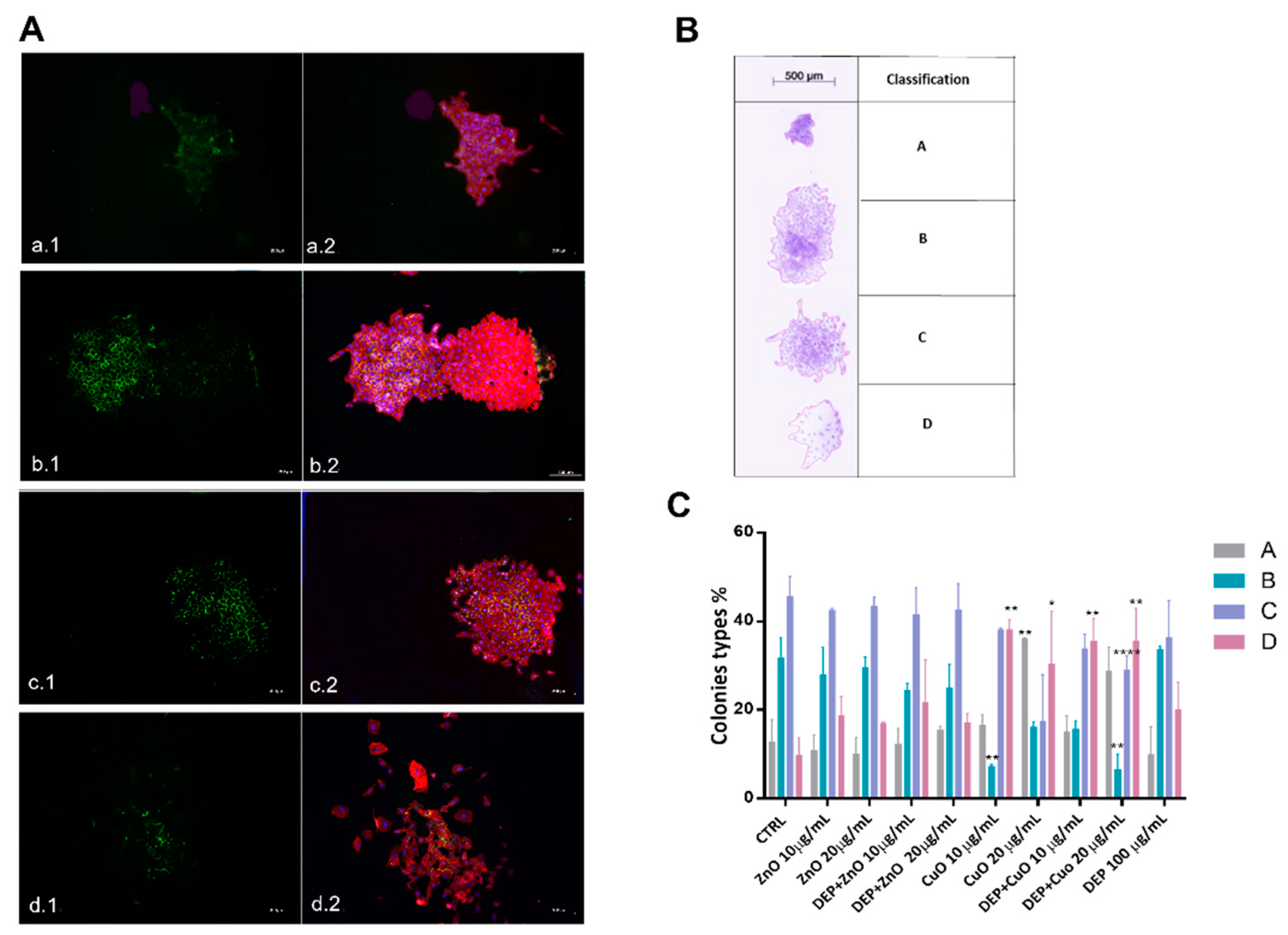 Nanomaterials 11 01437 g004