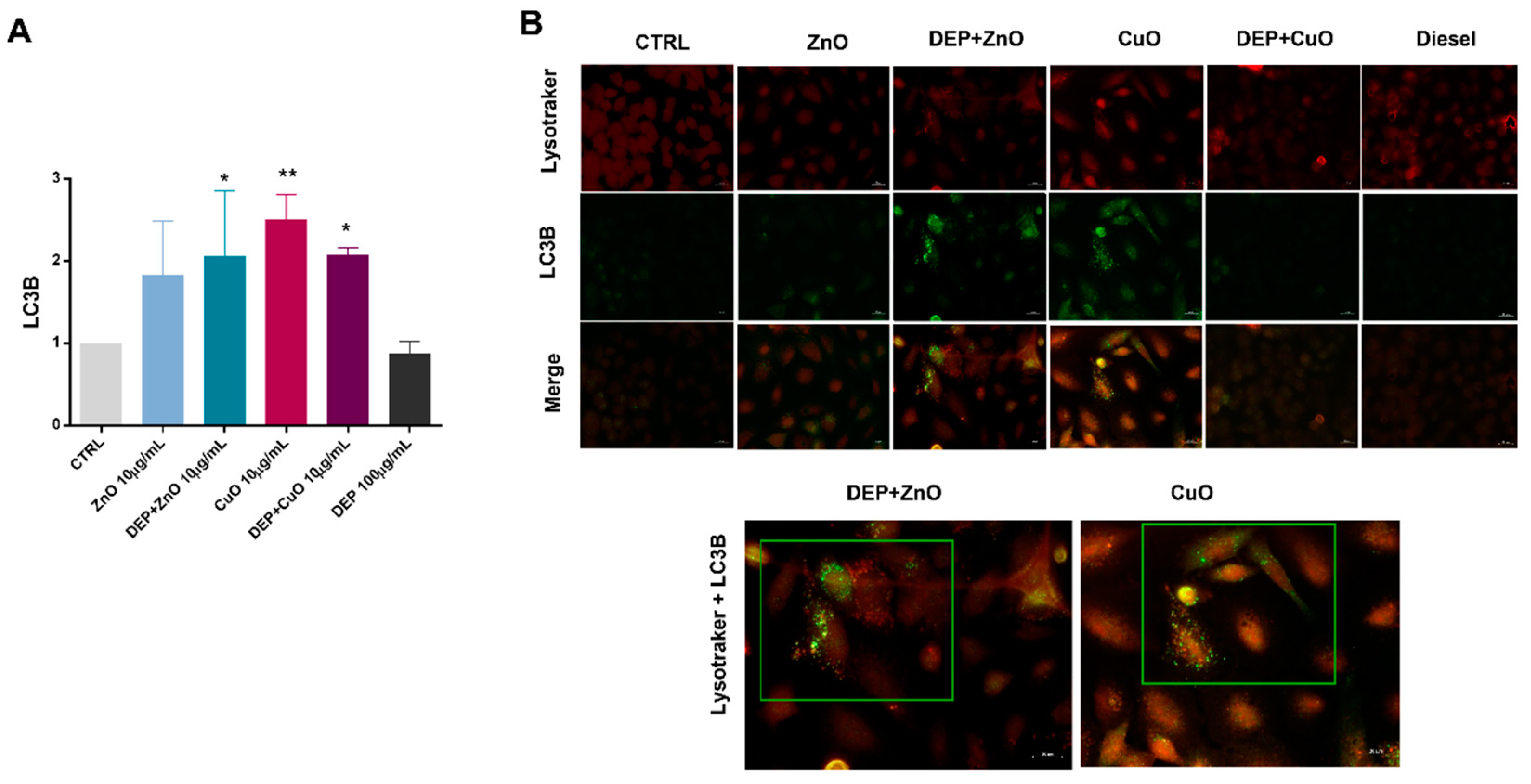 Nanomaterials 11 01437 g005