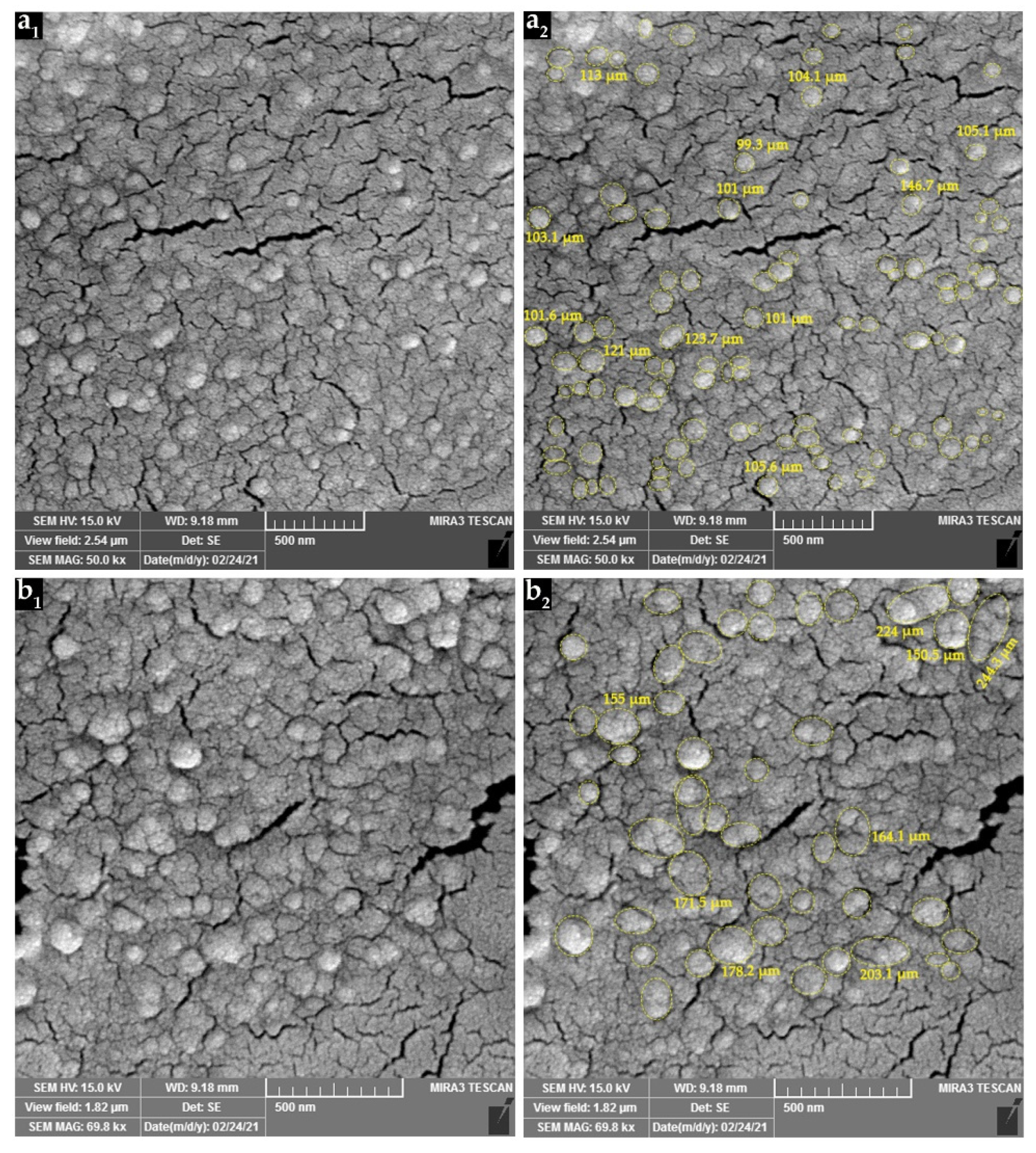 Nanomaterials 11 01439 g003 Nanomaterials 11 01439 g003