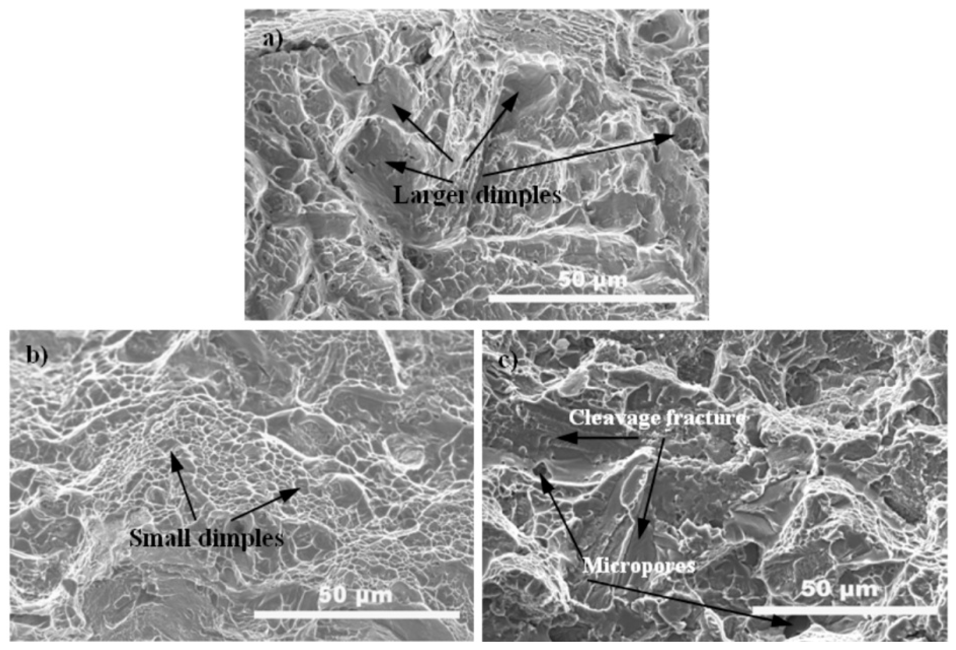 Nanomaterials 11 01440 g007