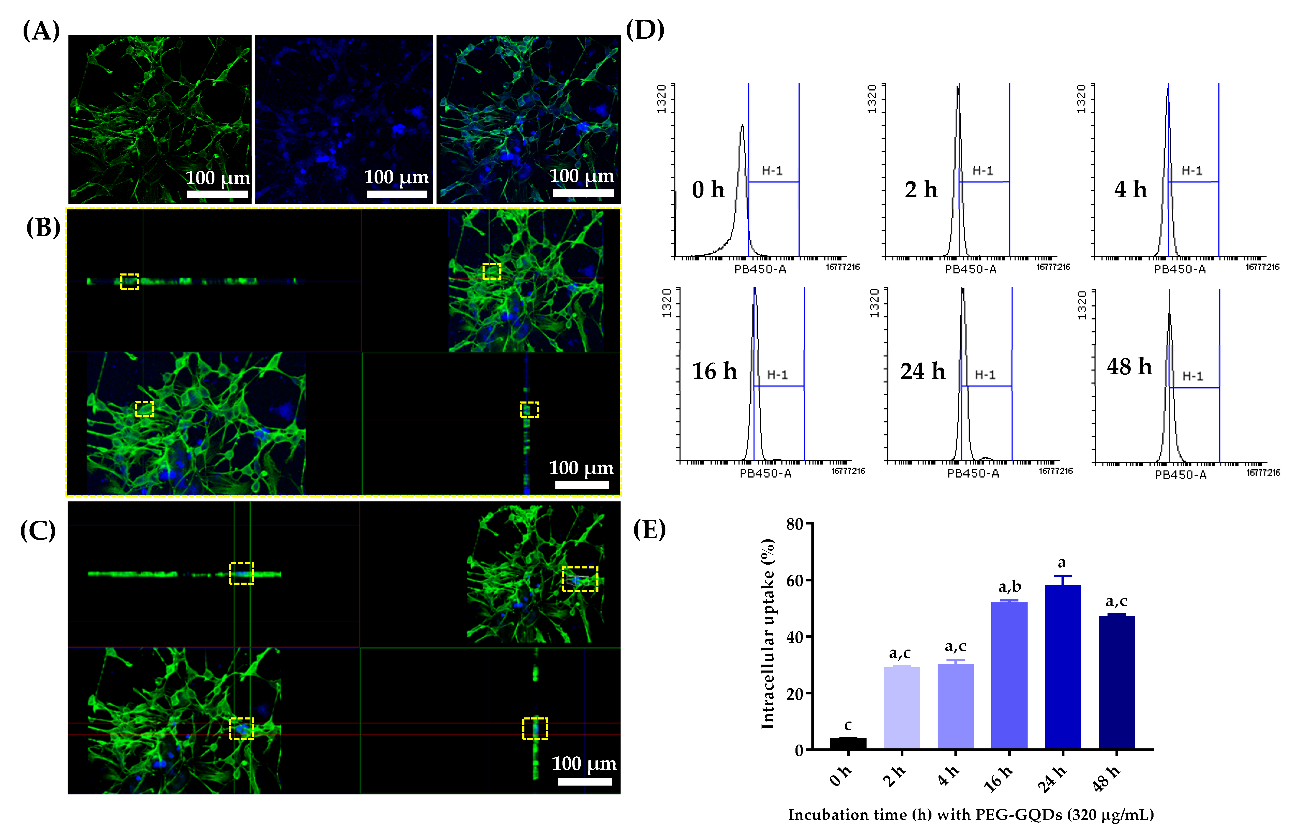 Nanomaterials 11 01446 g004