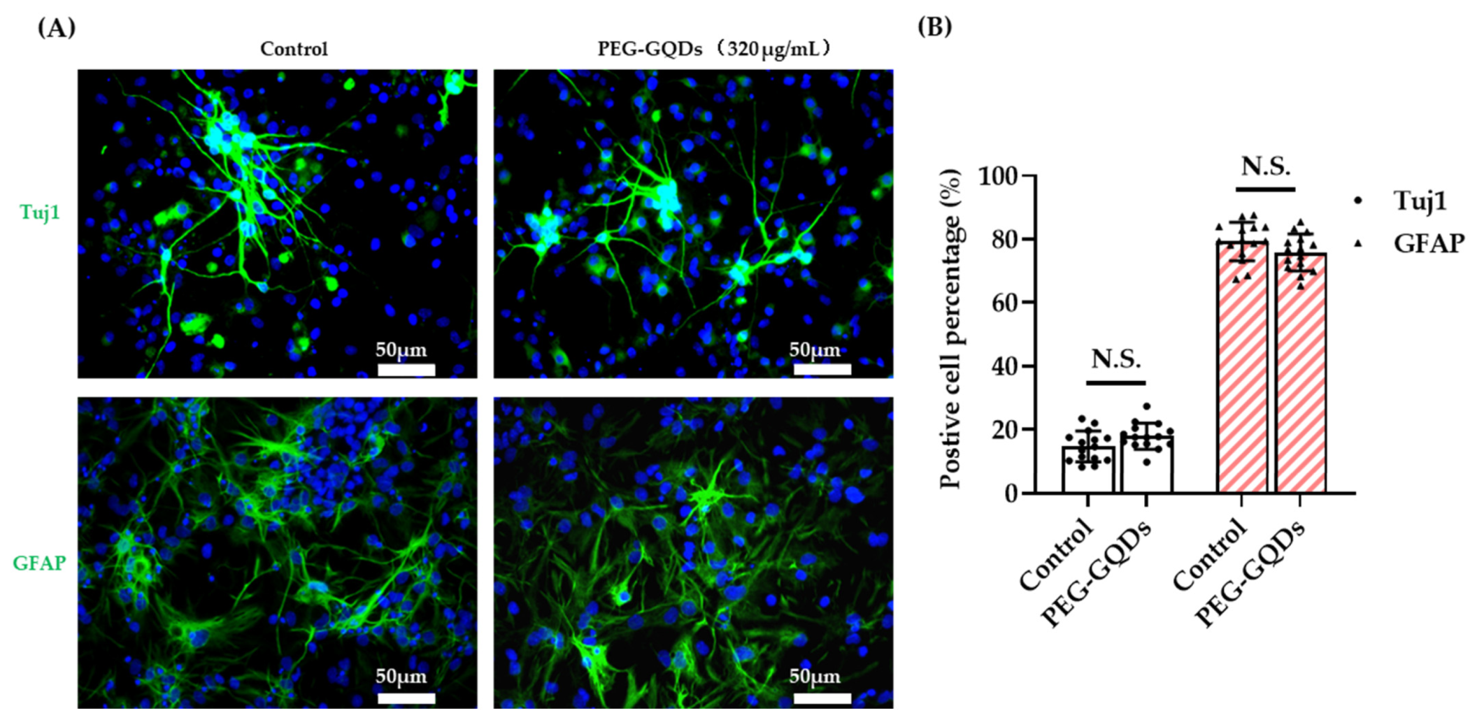 Nanomaterials 11 01446 g005