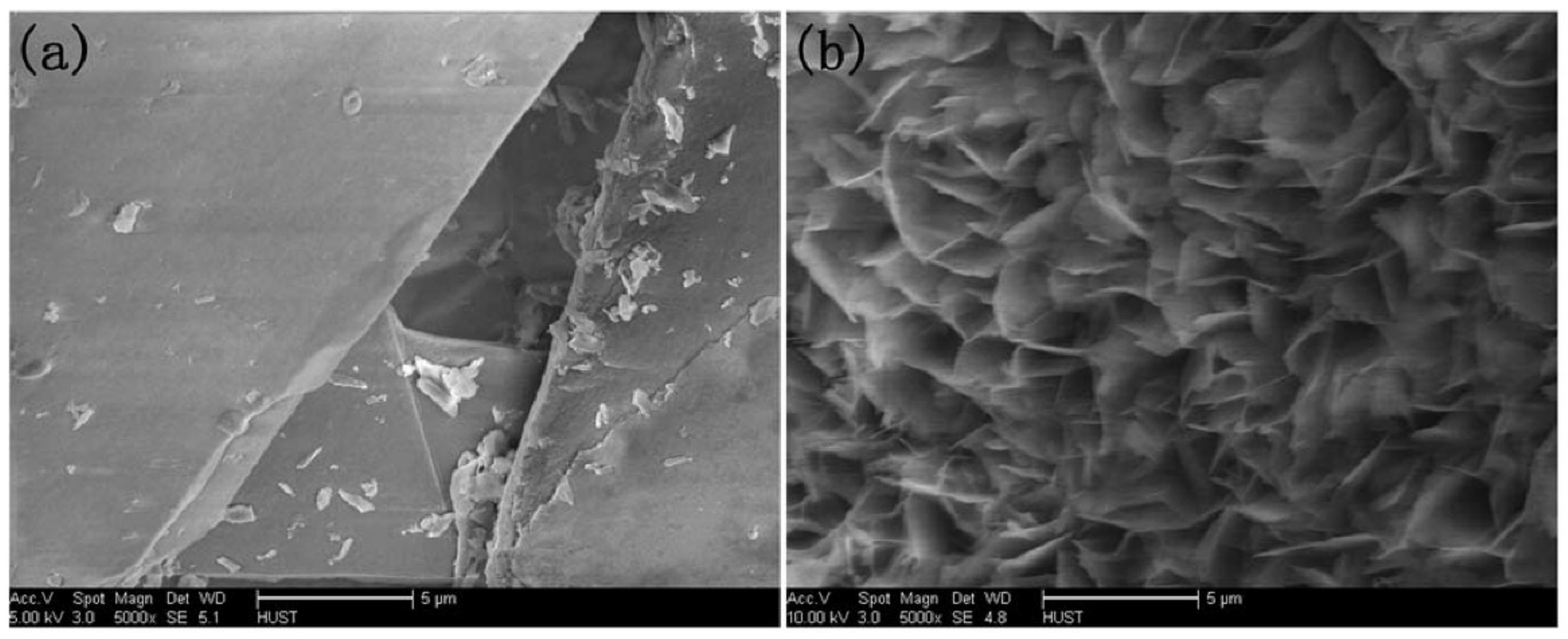 Nanomaterials 11 01460 g003