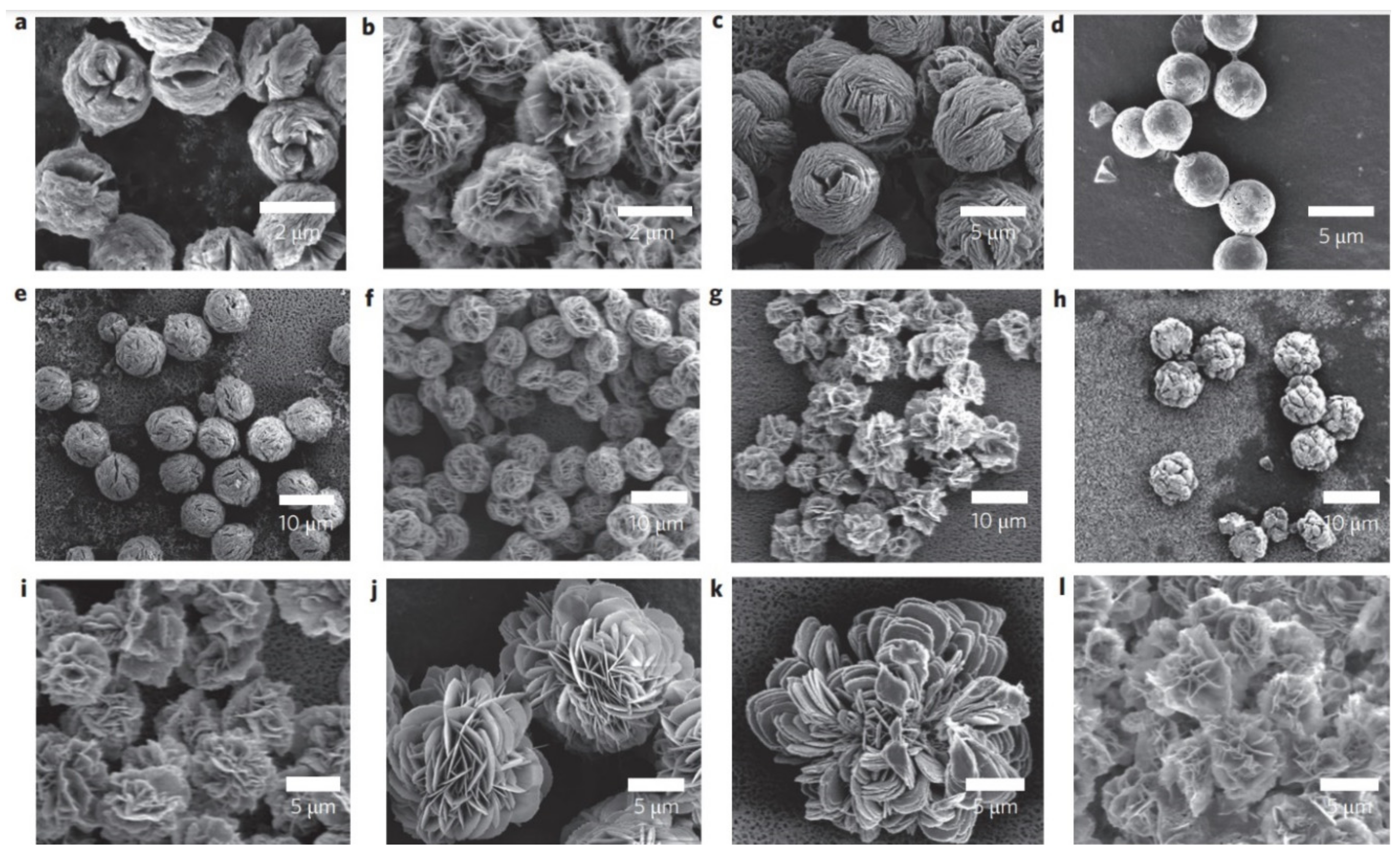 Nanomaterials 11 01460 g008