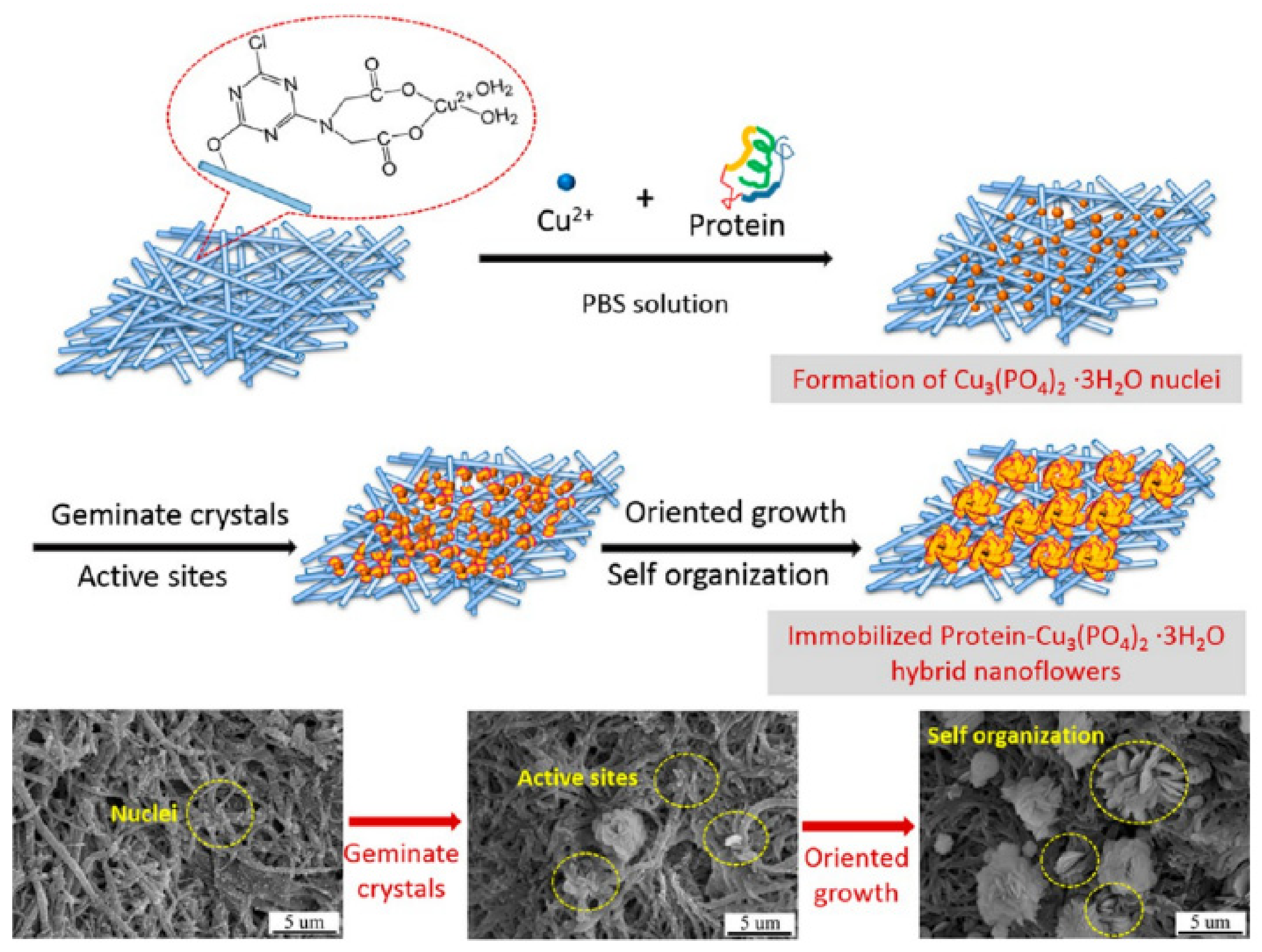 Nanomaterials 11 01460 g011
