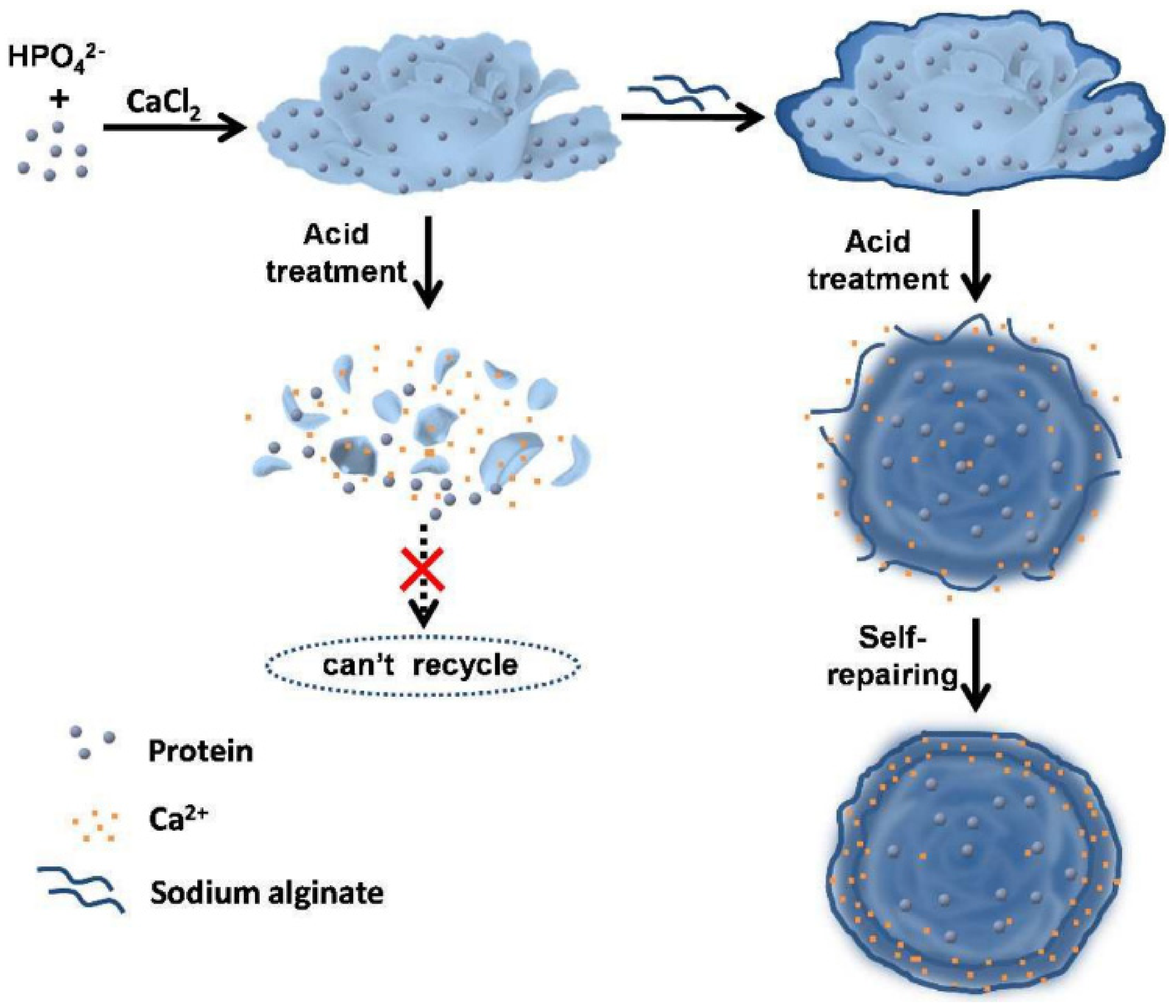Nanomaterials 11 01460 g013