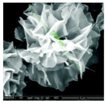 Nanomaterials 11 01460 i006