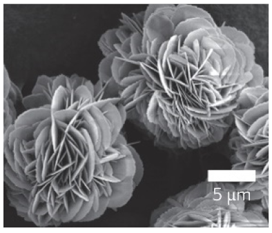 Nanomaterials 11 01460 i012