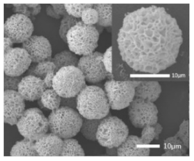 Nanomaterials 11 01460 i013