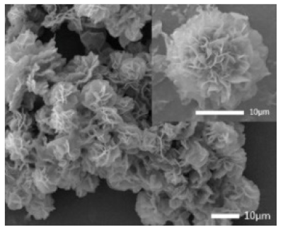 Nanomaterials 11 01460 i014