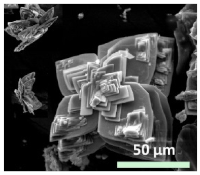 Nanomaterials 11 01460 i026