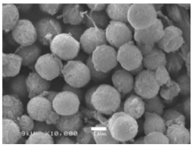 Nanomaterials 11 01460 i028