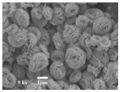 Nanomaterials 11 01460 i029