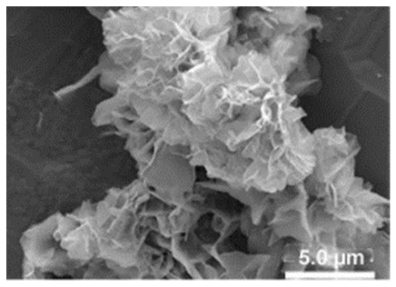 Nanomaterials 11 01460 i034