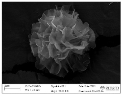 Nanomaterials 11 01460 i041