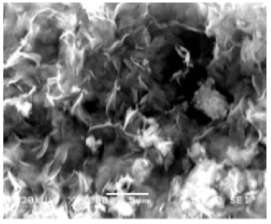 Nanomaterials 11 01460 i043