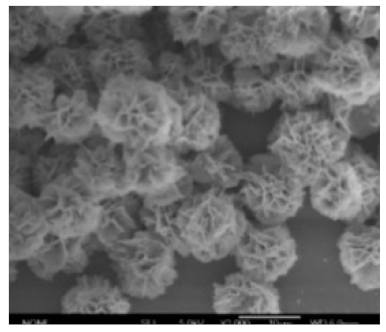 Nanomaterials 11 01460 i044