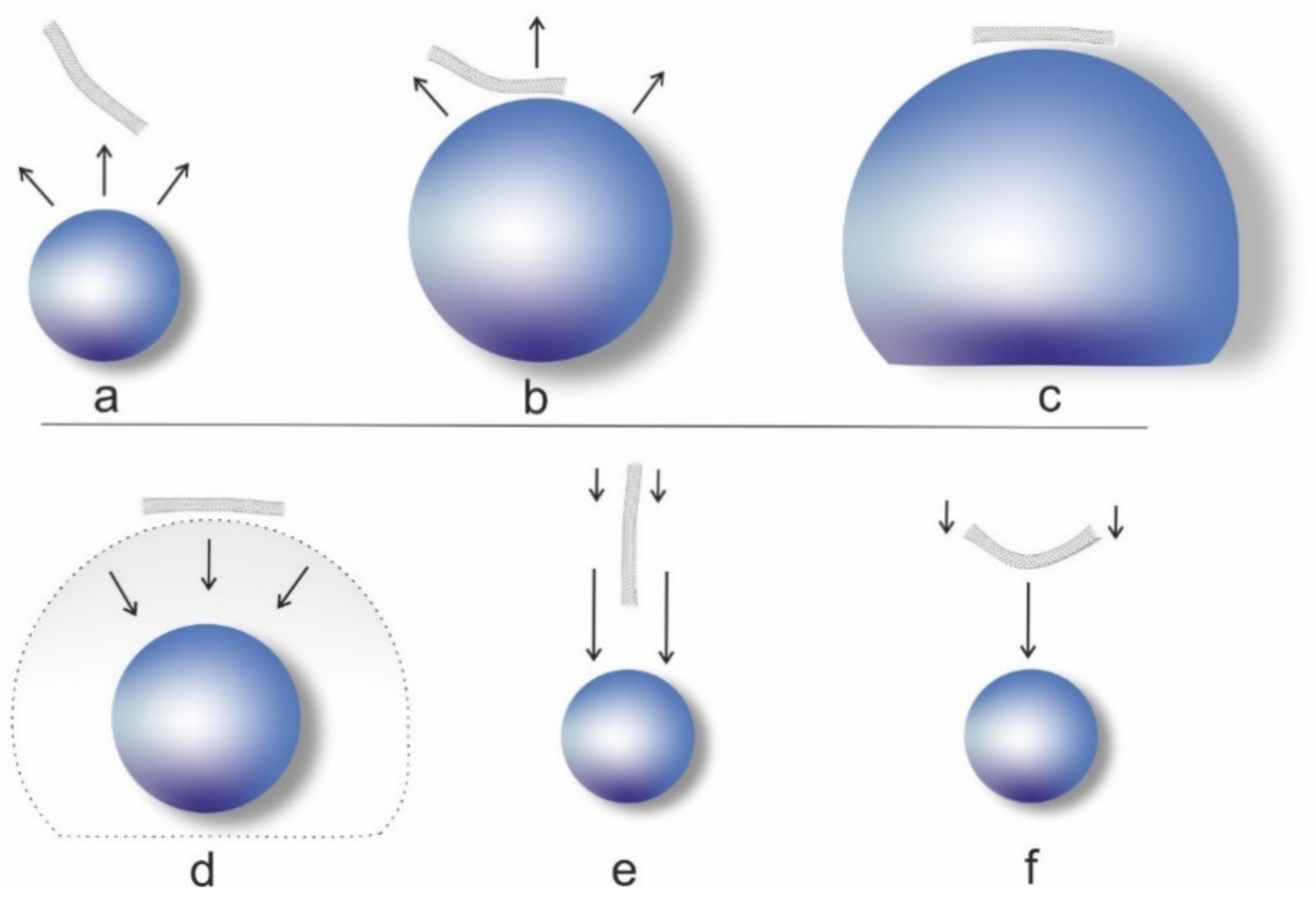 Nanomaterials 11 01469 g003 Nanomaterials 11 01469 g003