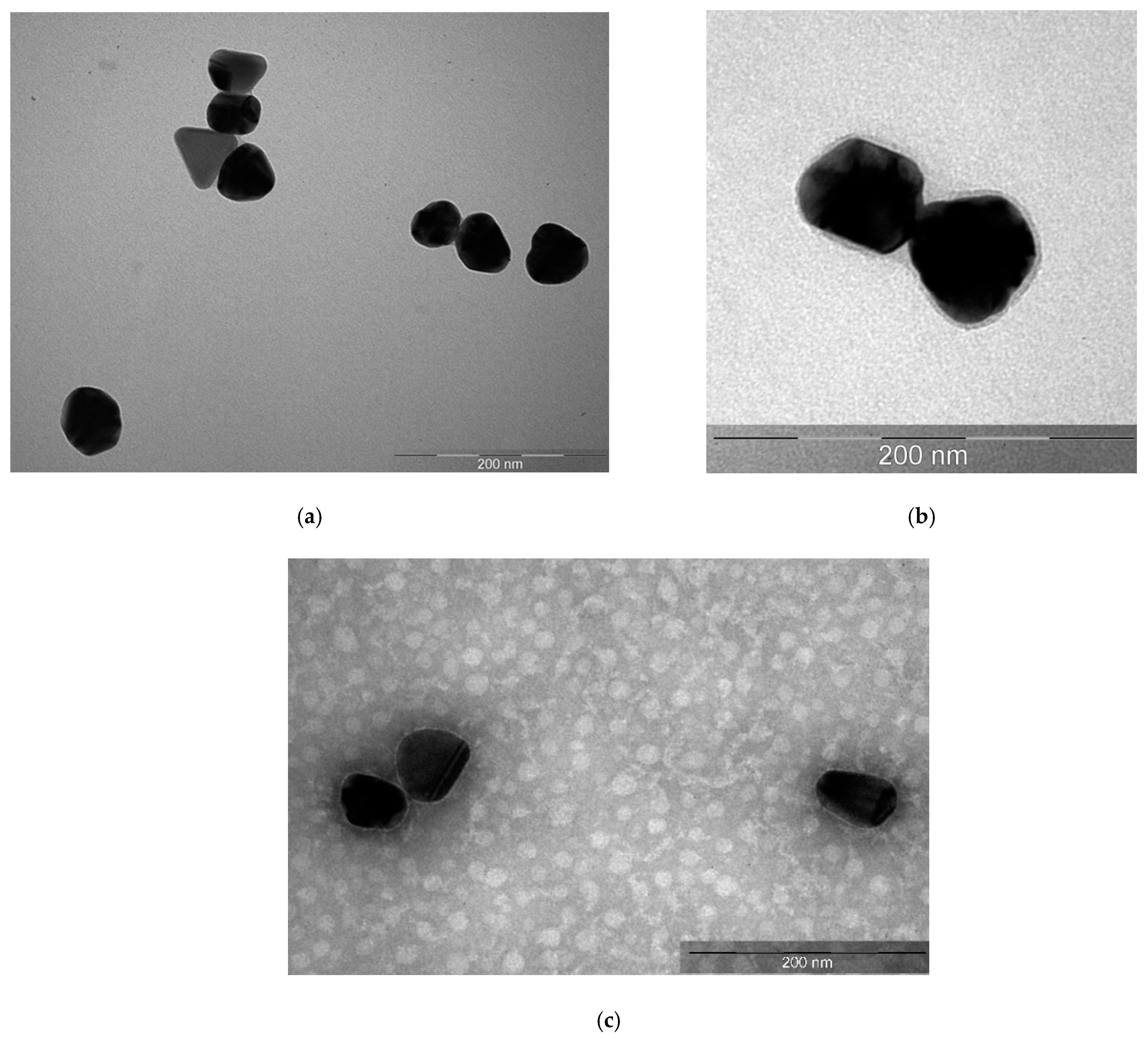 Nanomaterials 11 01484 g003 Nanomaterials 11 01484 g003
