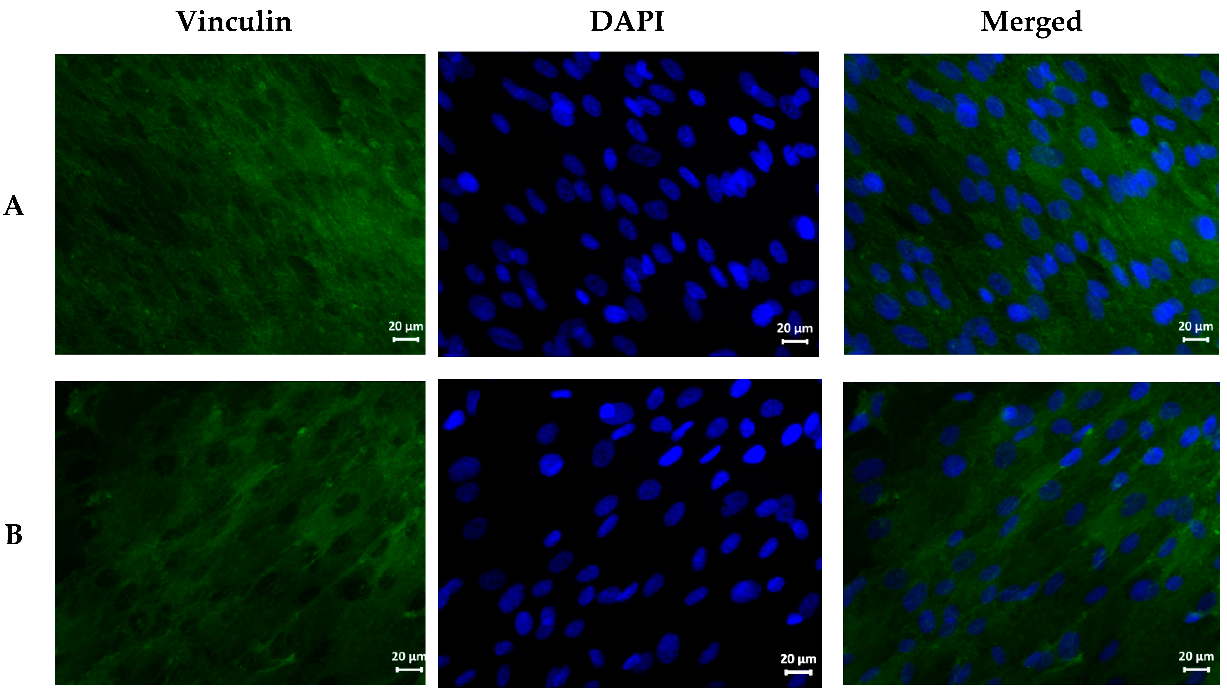 Nanomaterials 11 01484 g005a Nanomaterials 11 01484 g005a
