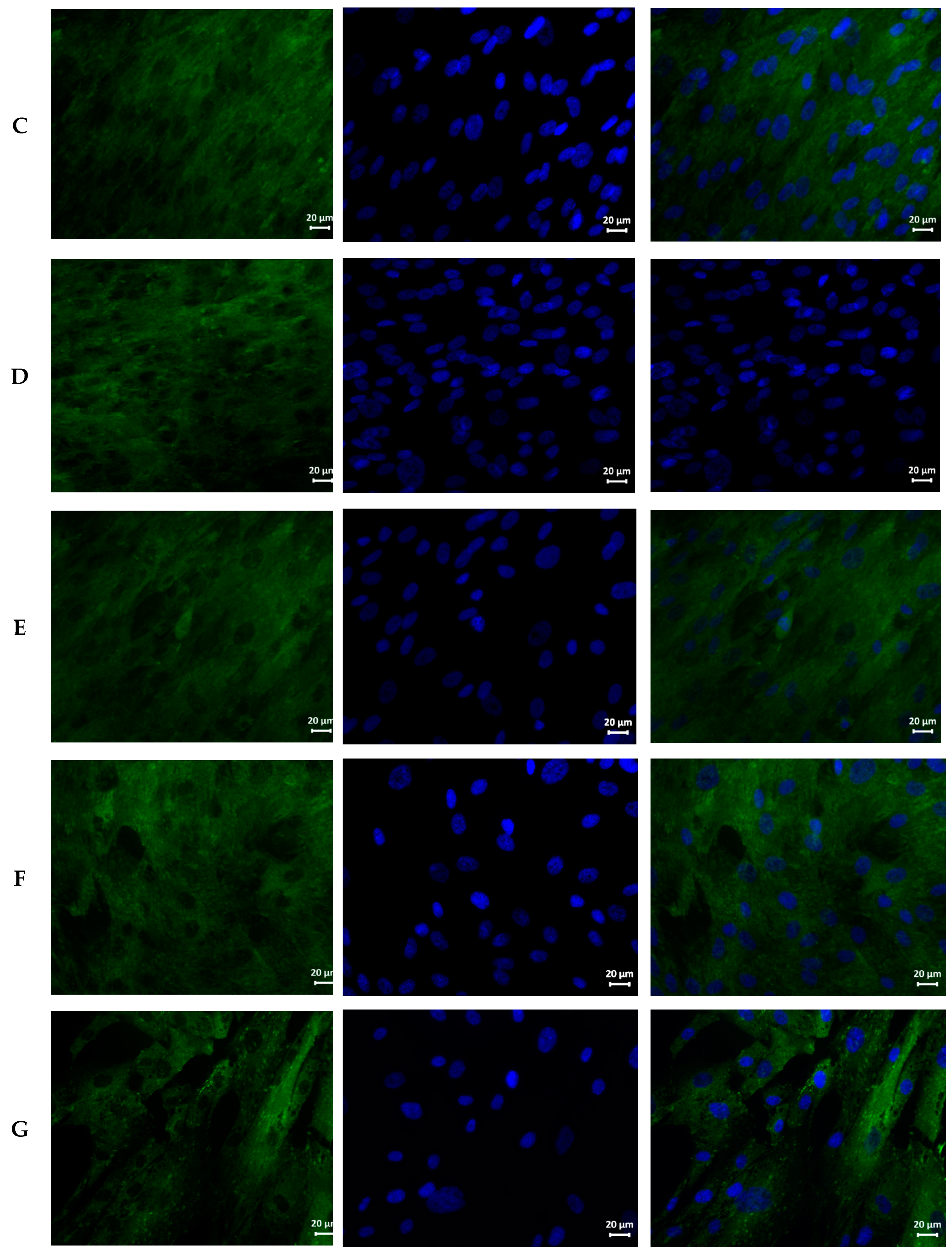 Nanomaterials 11 01484 g005b Nanomaterials 11 01484 g005b