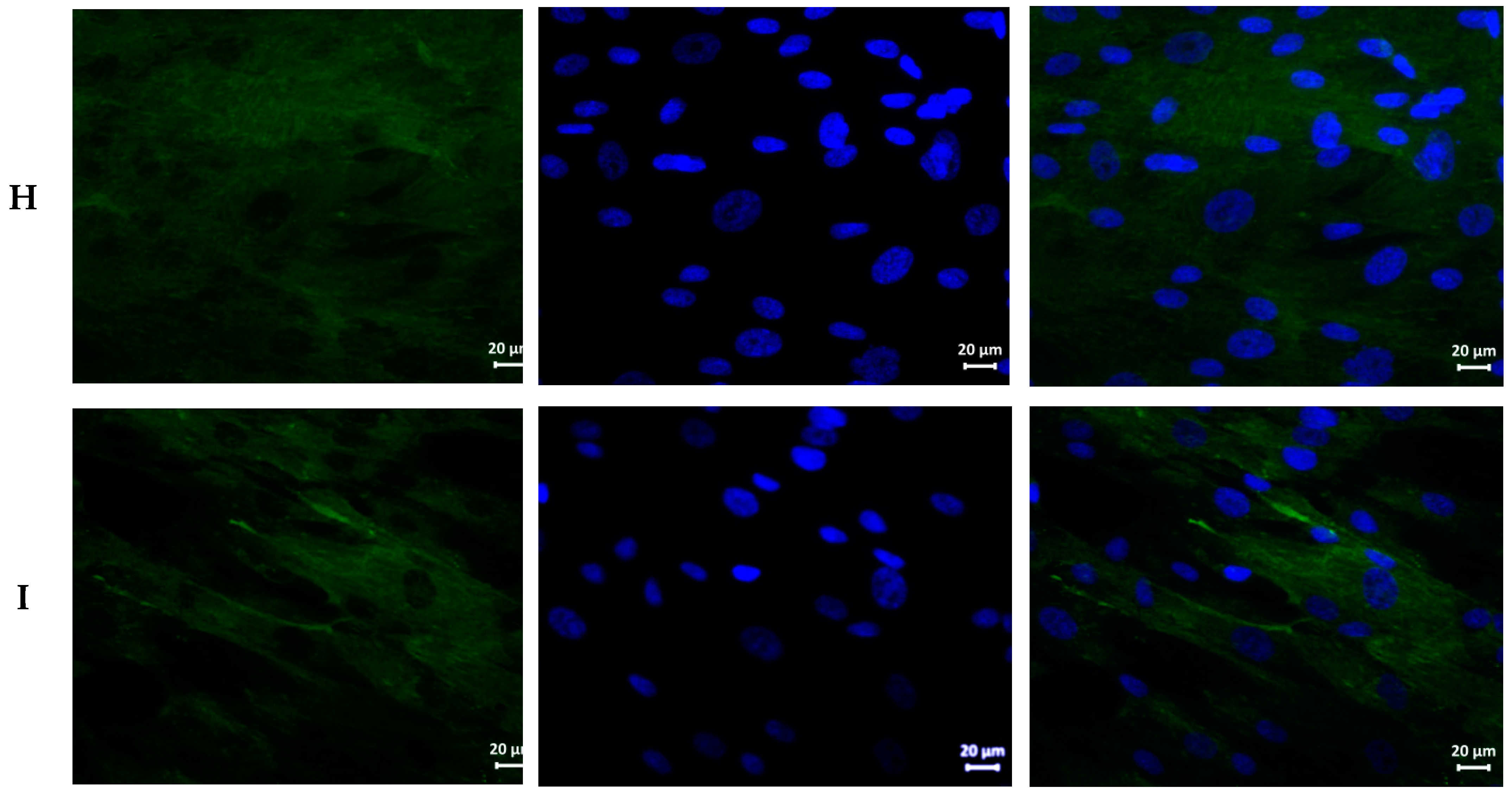 Nanomaterials 11 01484 g005c Nanomaterials 11 01484 g005c