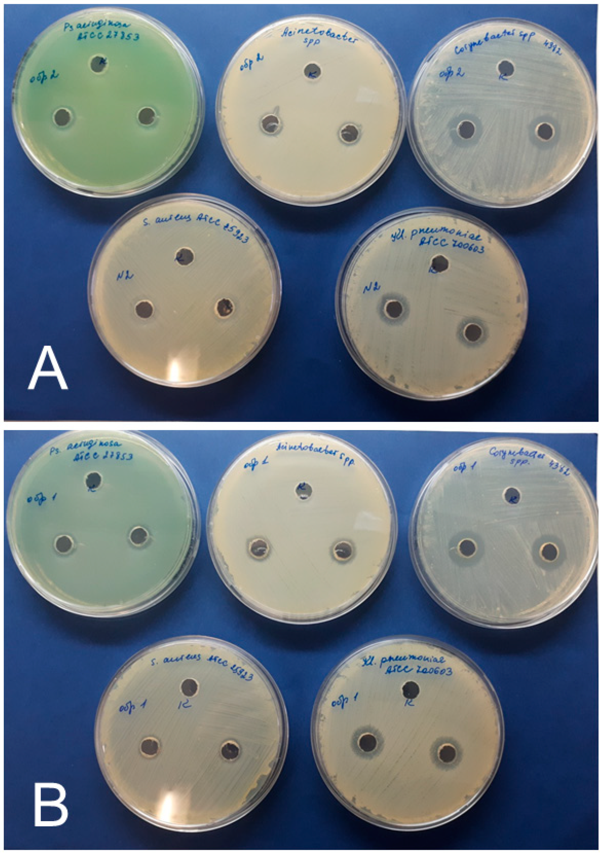 Nanomaterials 11 01484 g007 Nanomaterials 11 01484 g007