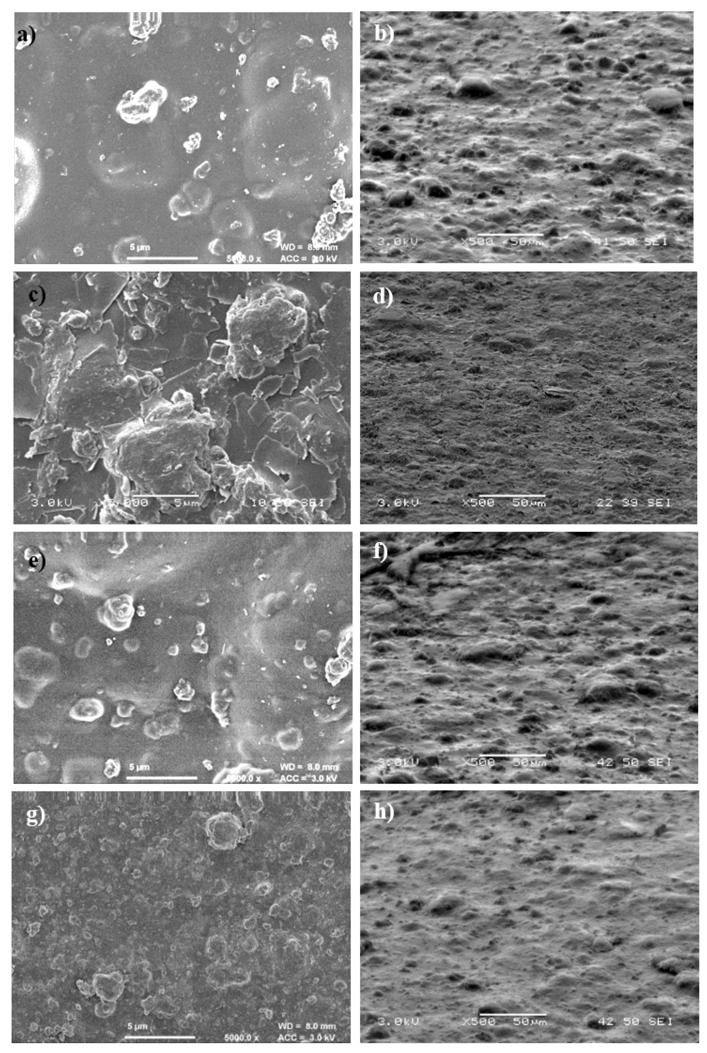 Nanomaterials 11 01488 g003