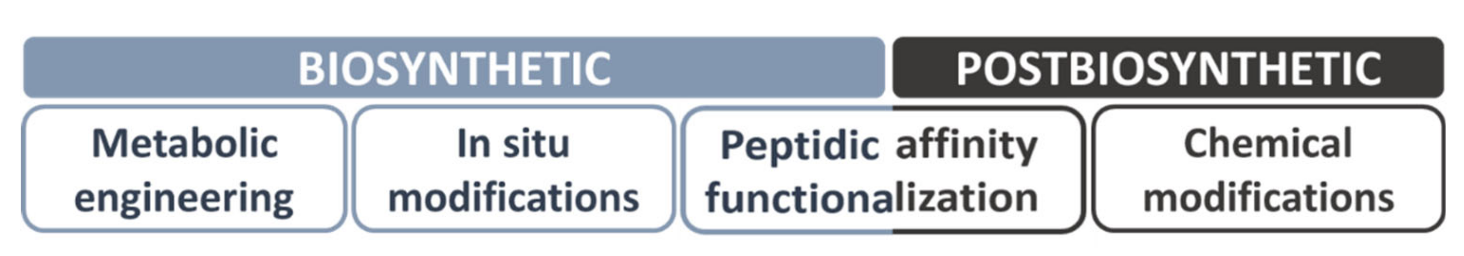 Nanomaterials 11 01492 g006 Nanomaterials 11 01492 g006