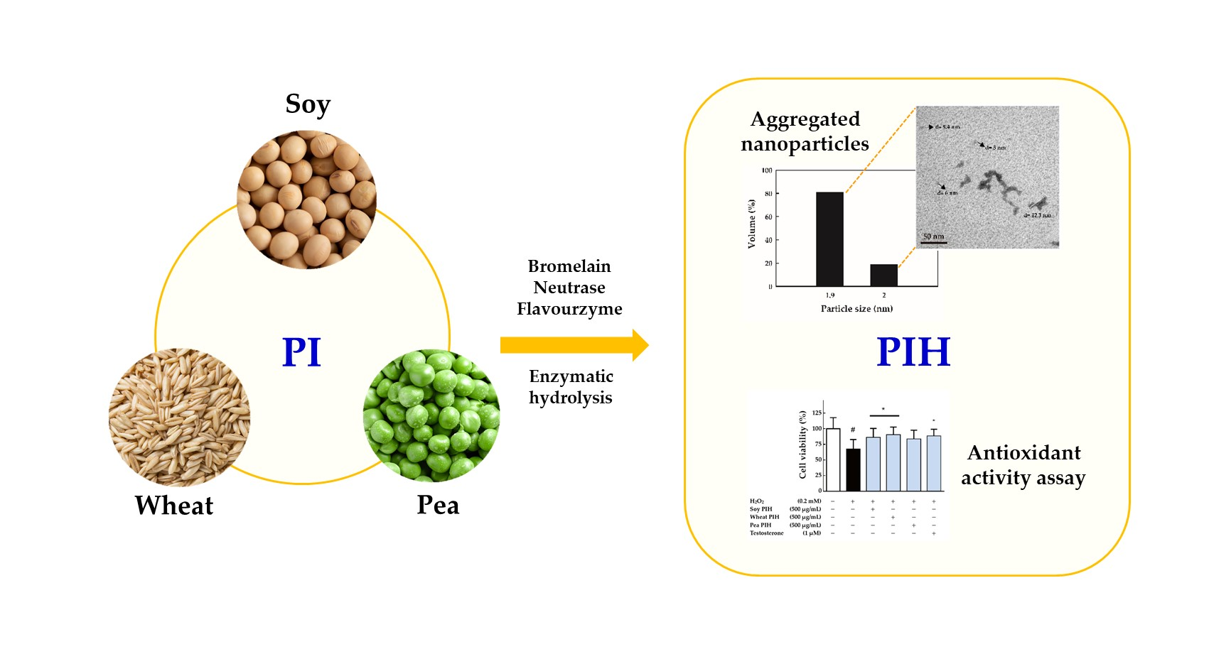 Nanomaterials Free Full Text Antioxidative Activity Of Soy Wheat And Pea Protein Isolates Characterized By Multi Enzyme Hydrolysis Html