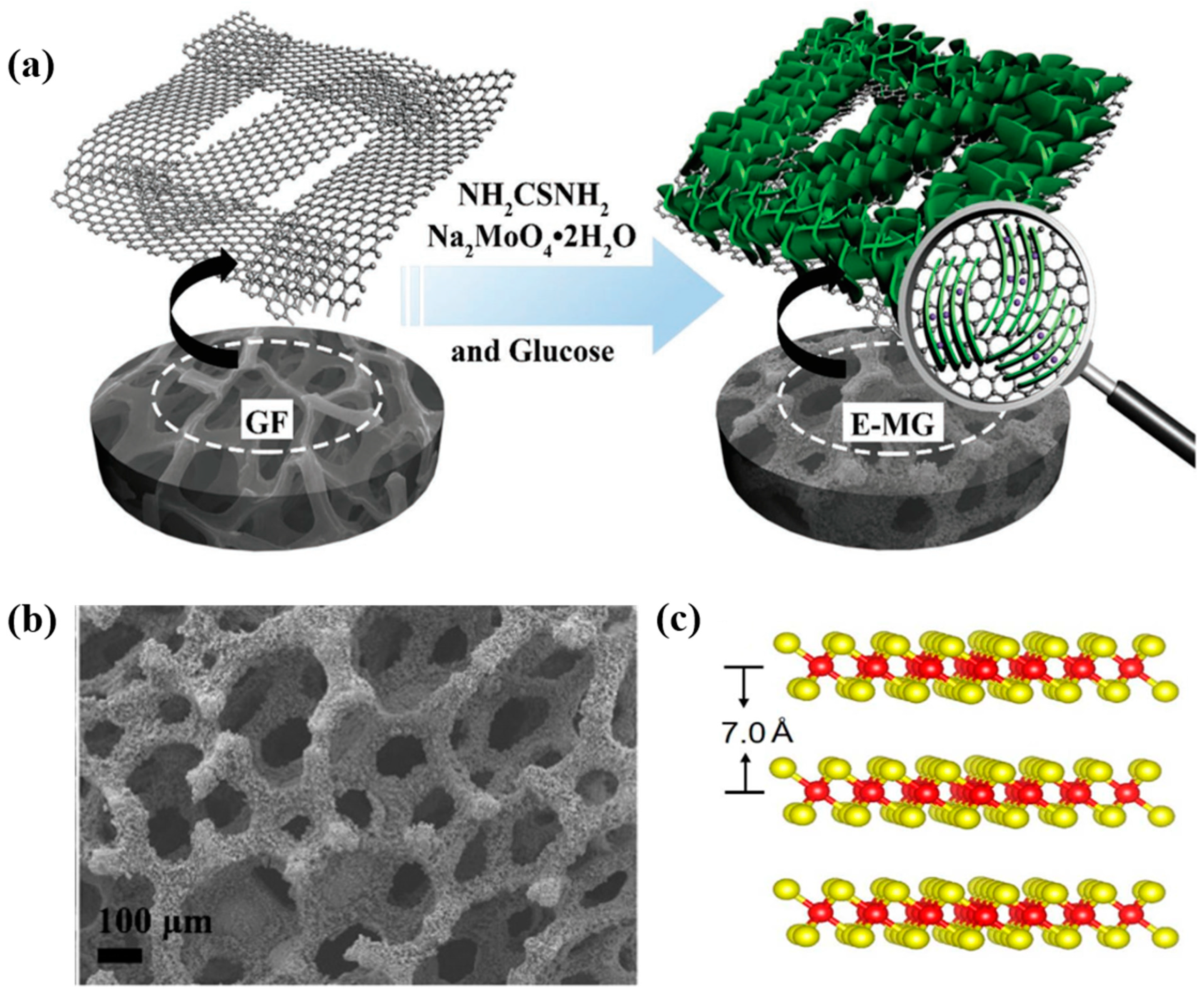 Nanomaterials 11 01517 g013 Nanomaterials 11 01517 g013