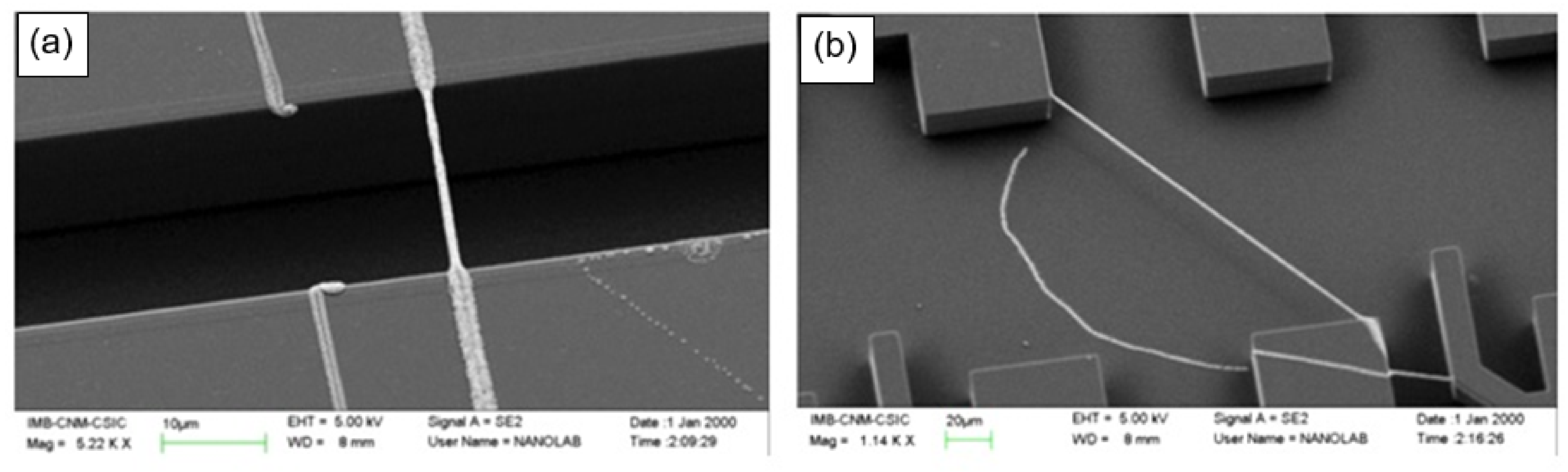 Nanomaterials 11 01555 g003 Nanomaterials 11 01555 g003