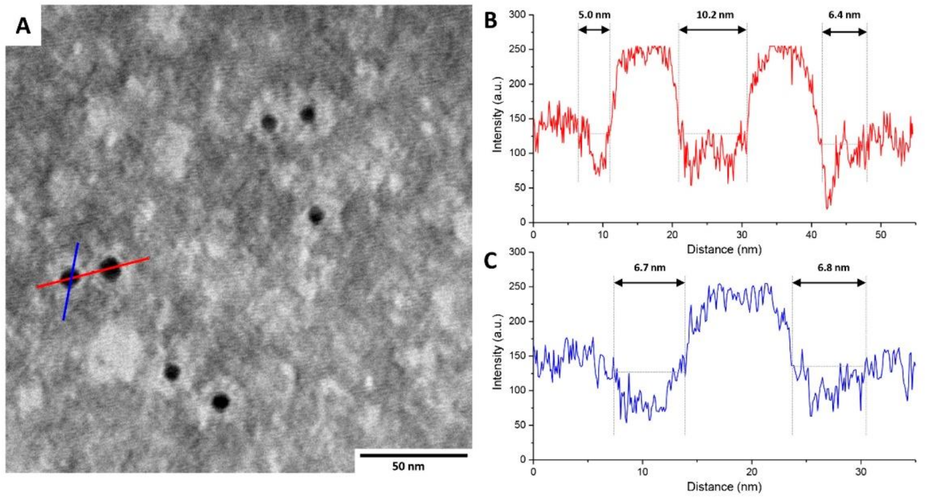 Nanomaterials 11 01559 g004