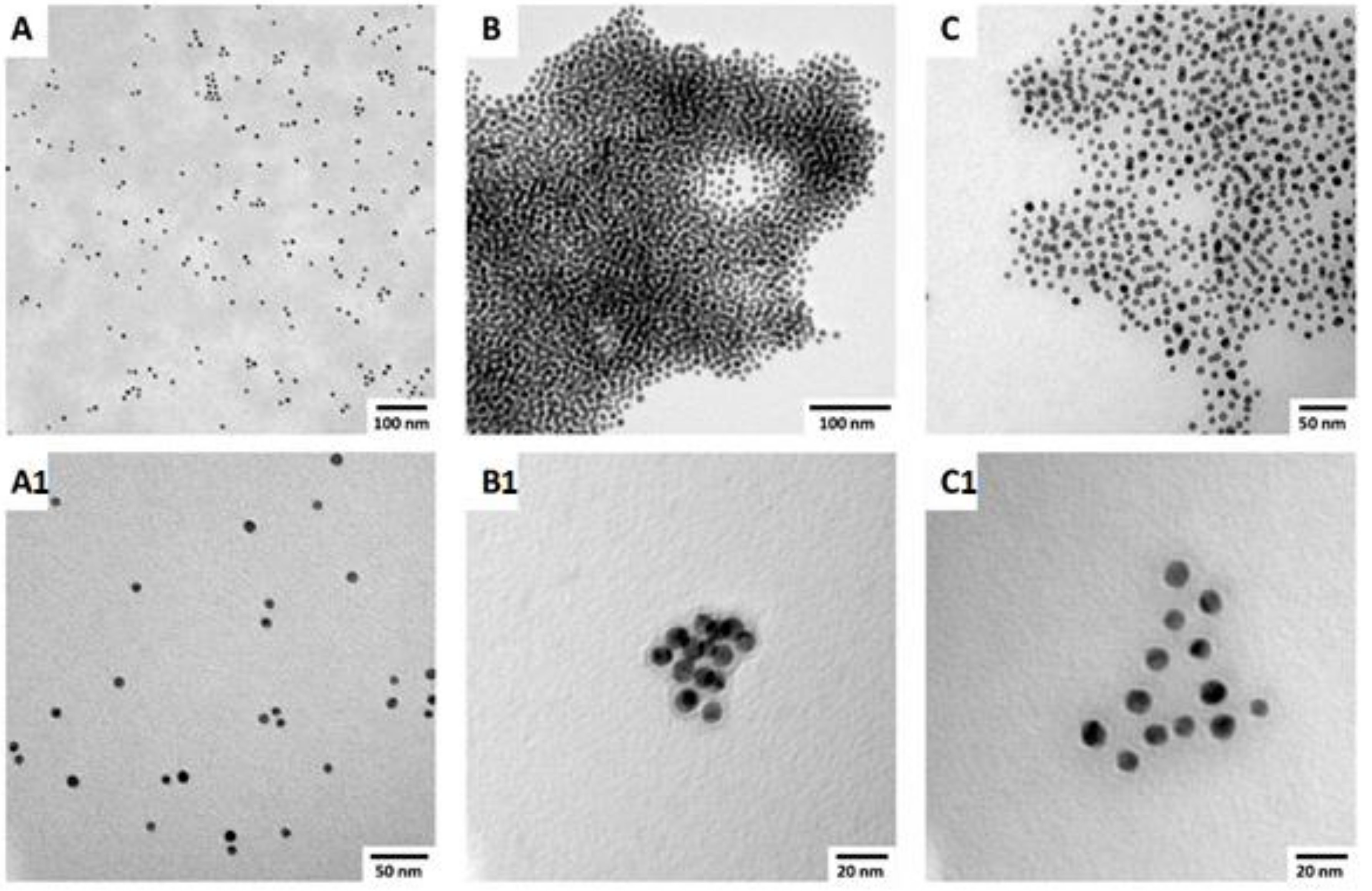 Nanomaterials 11 01559 g006