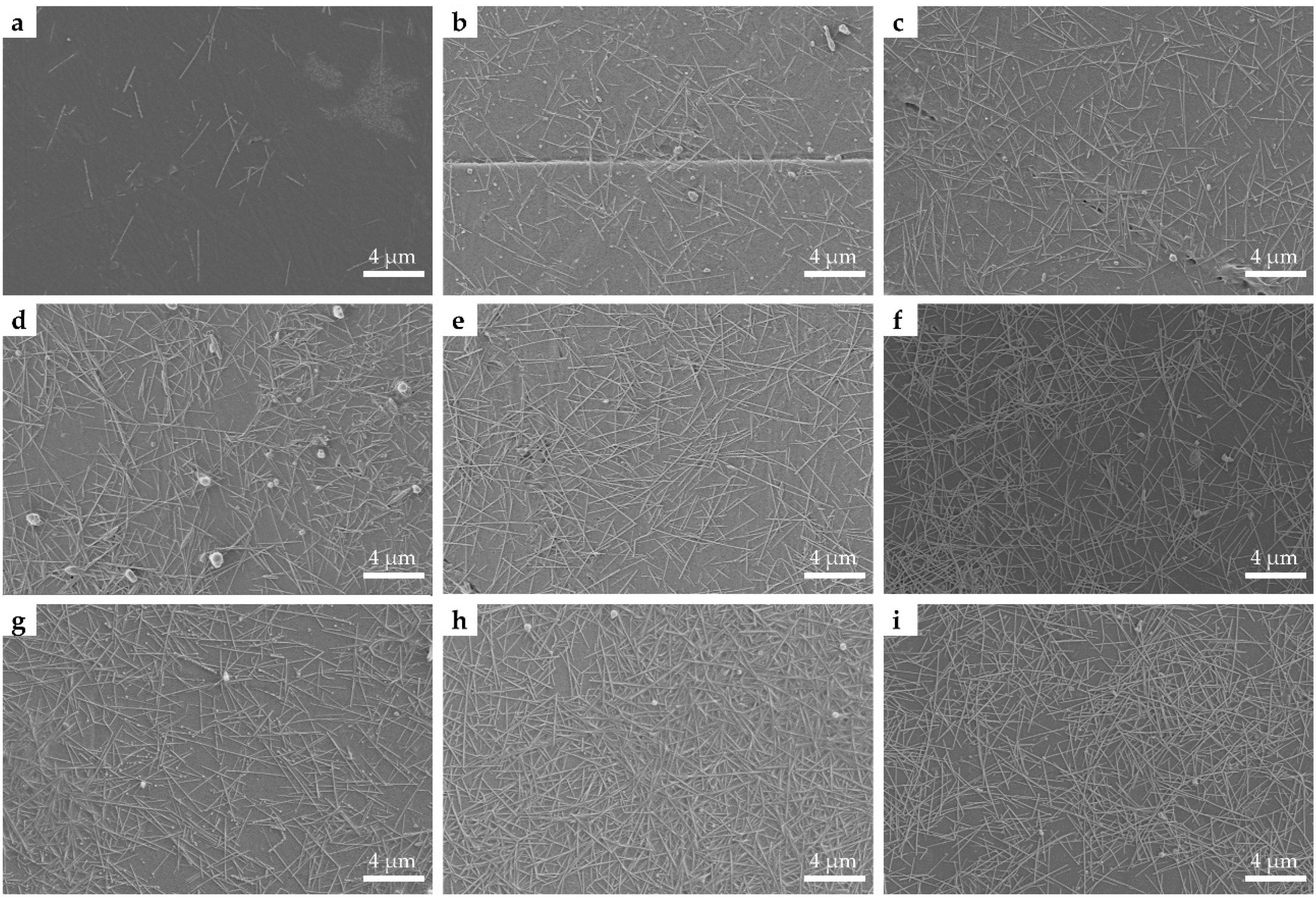 Nanomaterials 11 01571 g004
