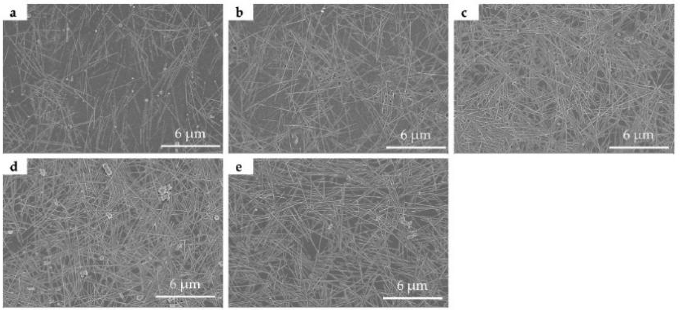 Nanomaterials 11 01571 g010