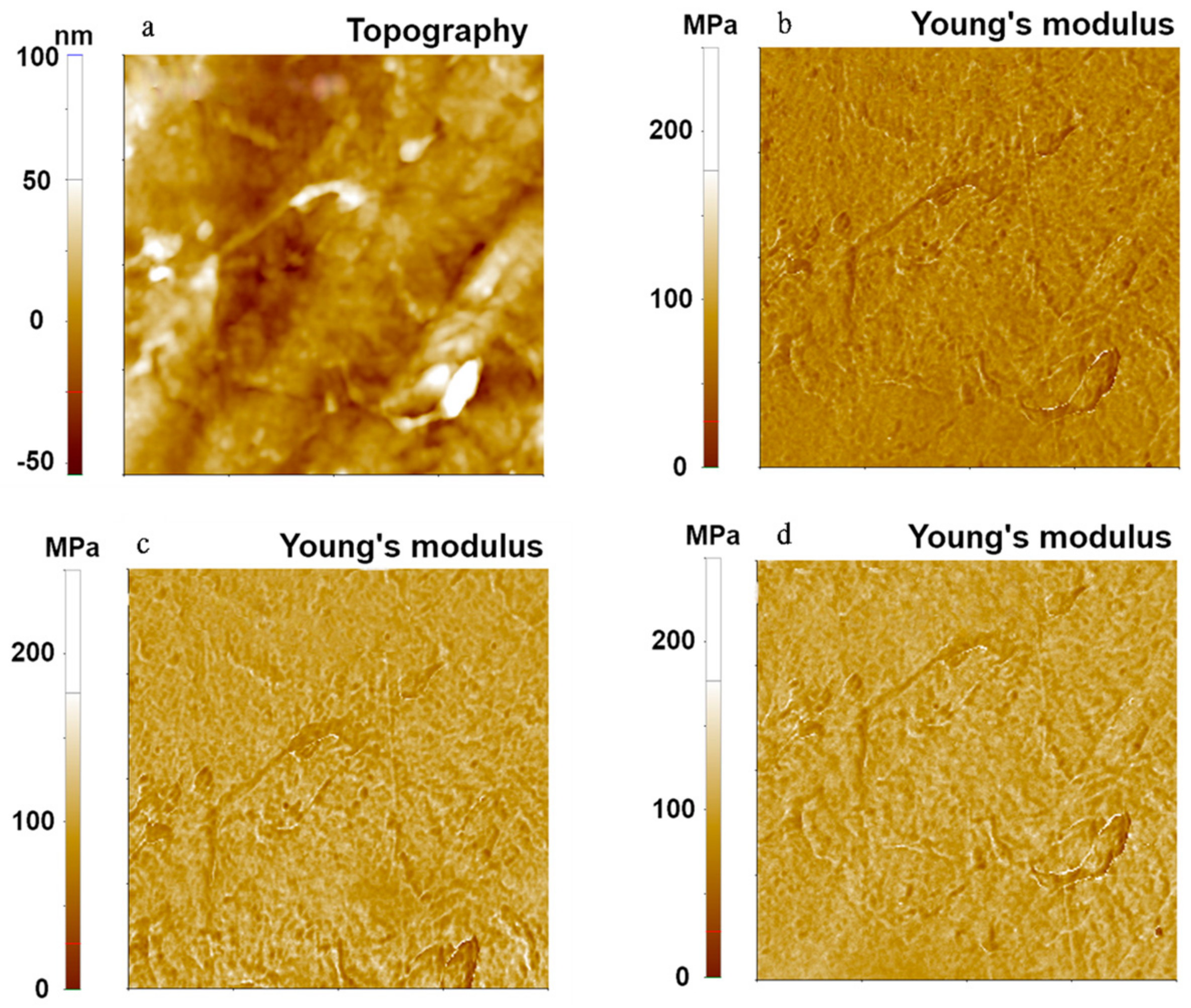 Nanomaterials 11 01593 g003 Nanomaterials 11 01593 g003