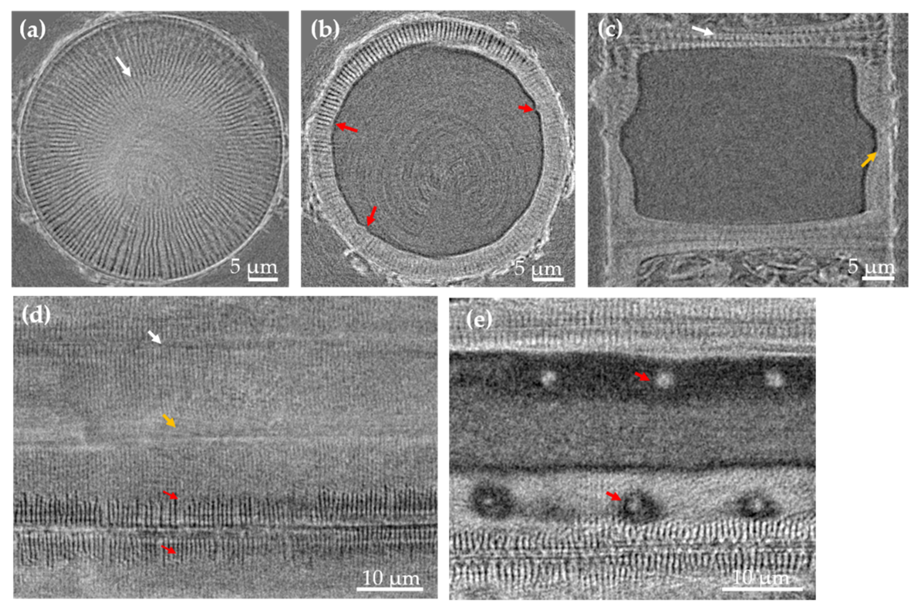 Nanomaterials 11 01615 g003 Nanomaterials 11 01615 g003