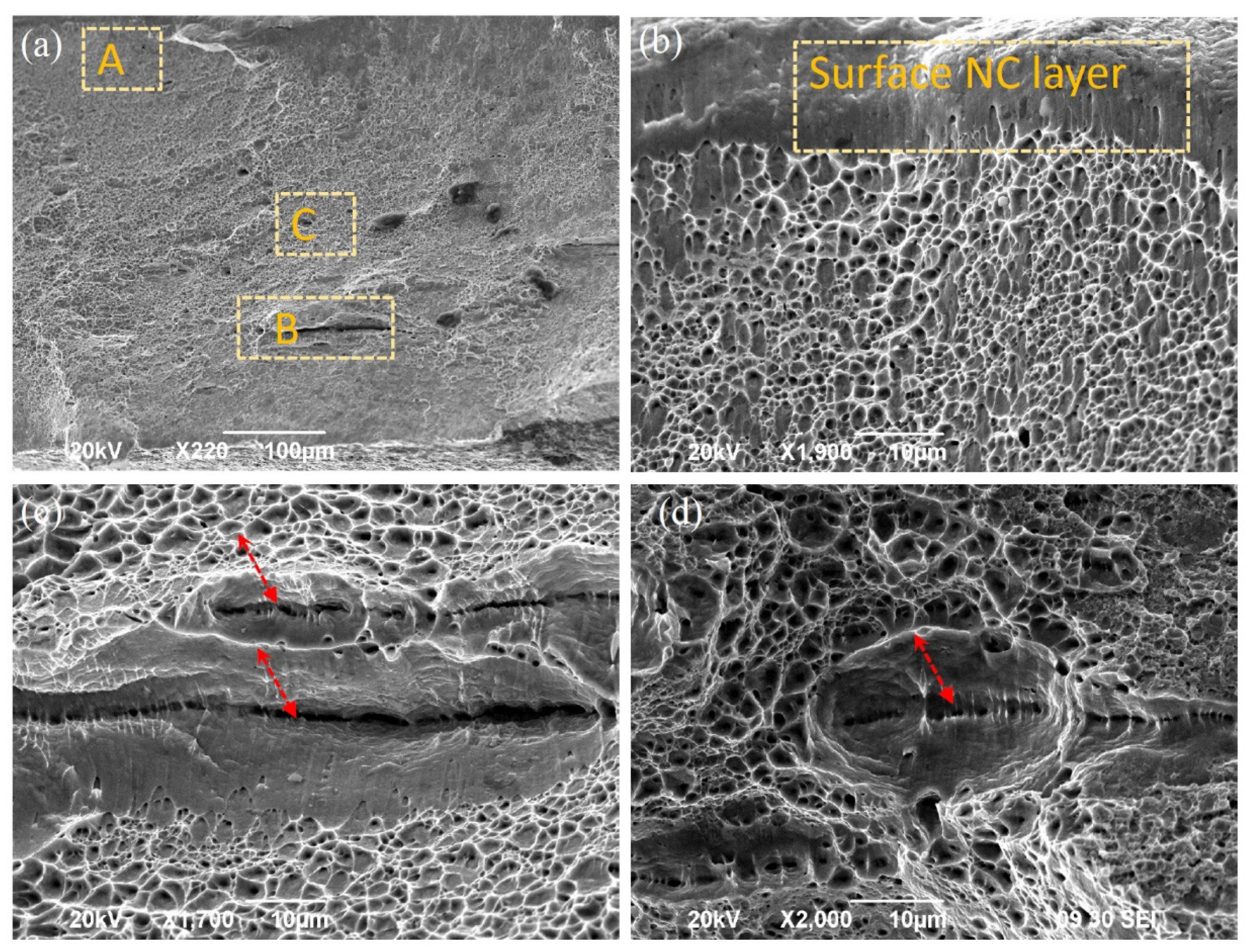 Nanomaterials 11 01624 g005
