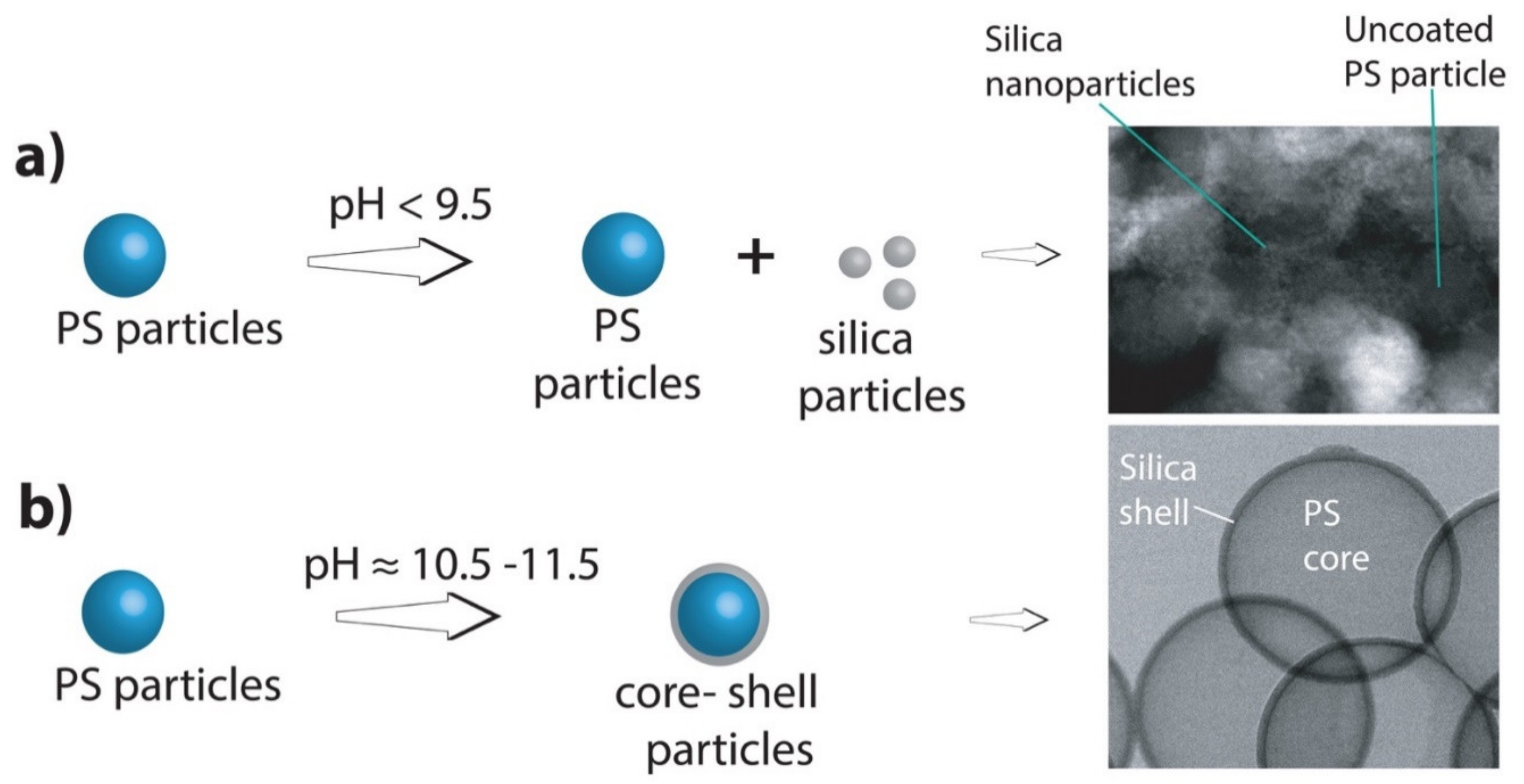 Nanomaterials 11 01627 g002