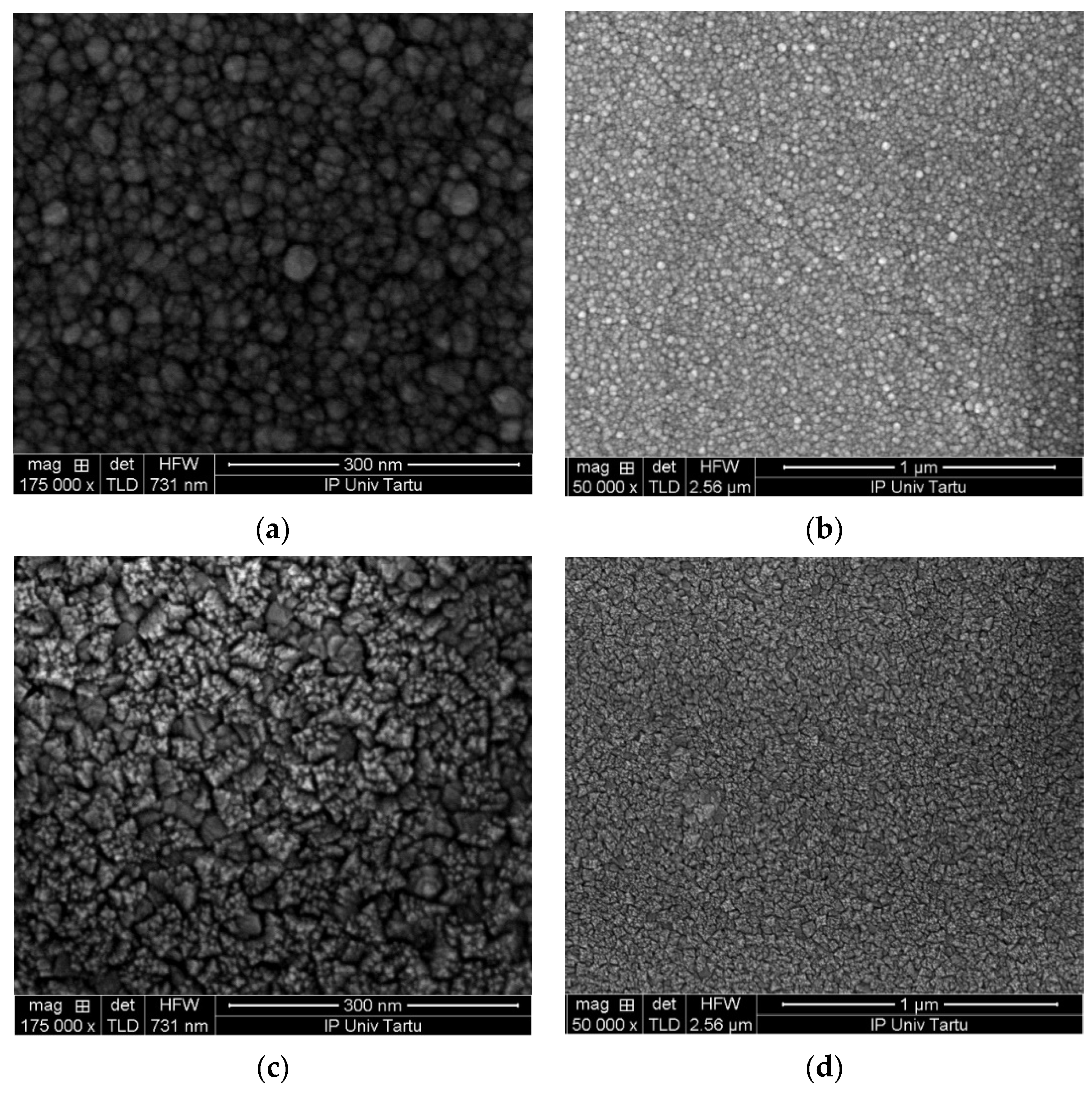 Nanomaterials 11 01633 g002