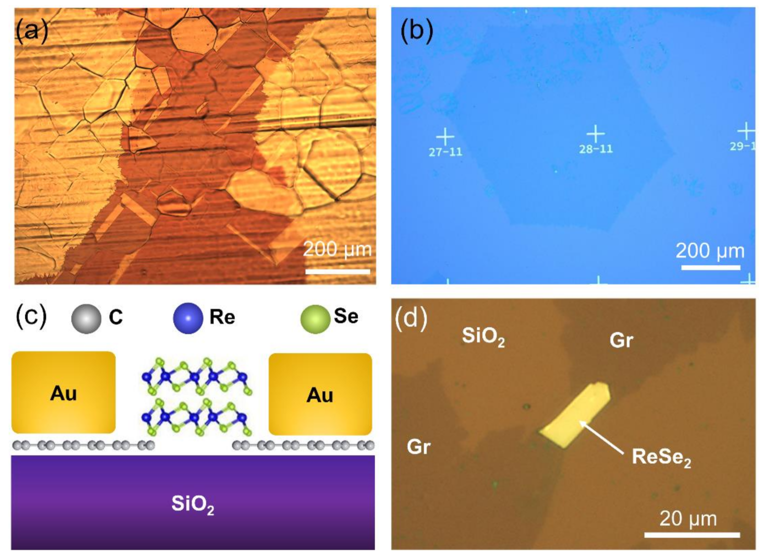 Nanomaterials 11 01650 g003