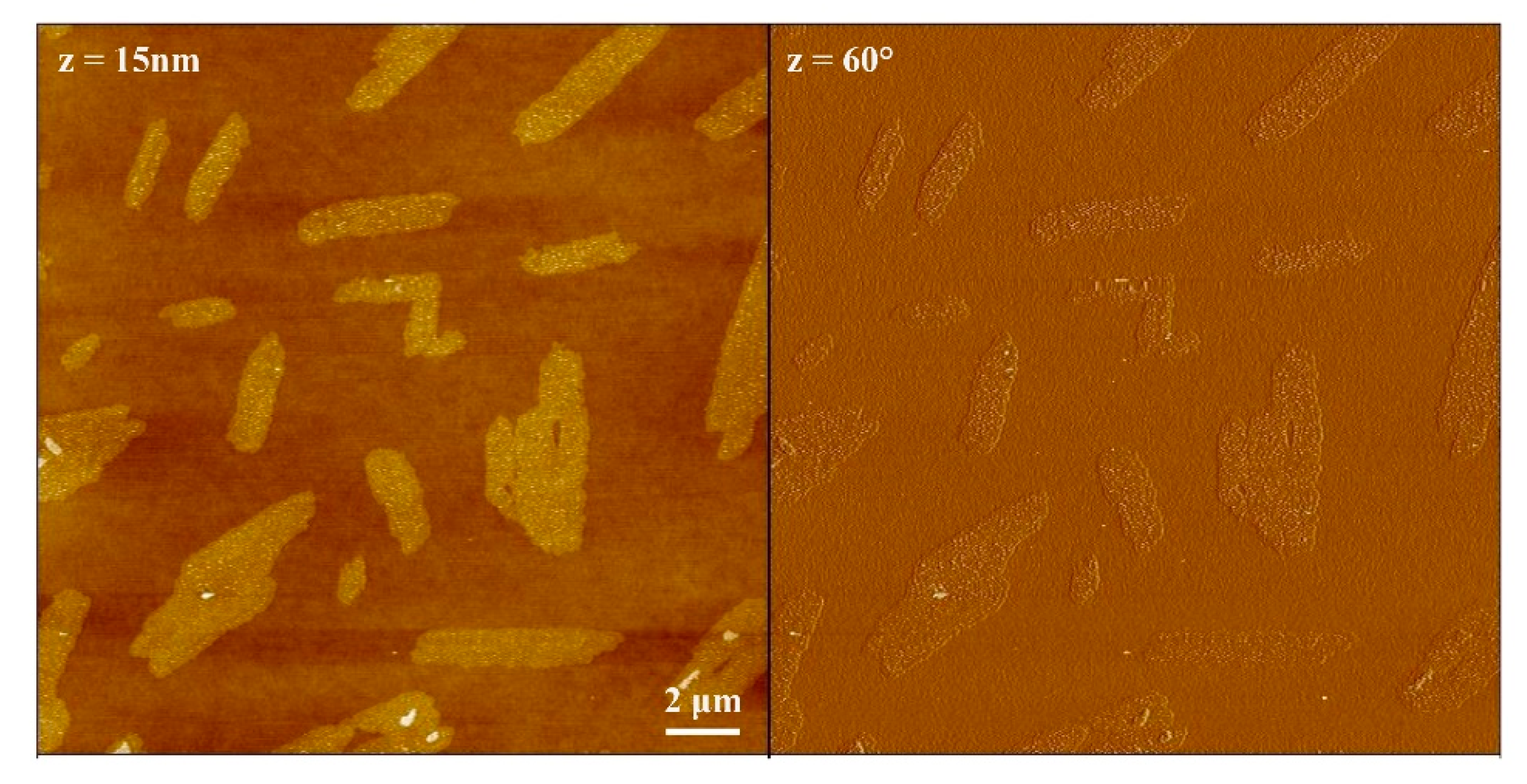 Nanomaterials 11 01673 g005