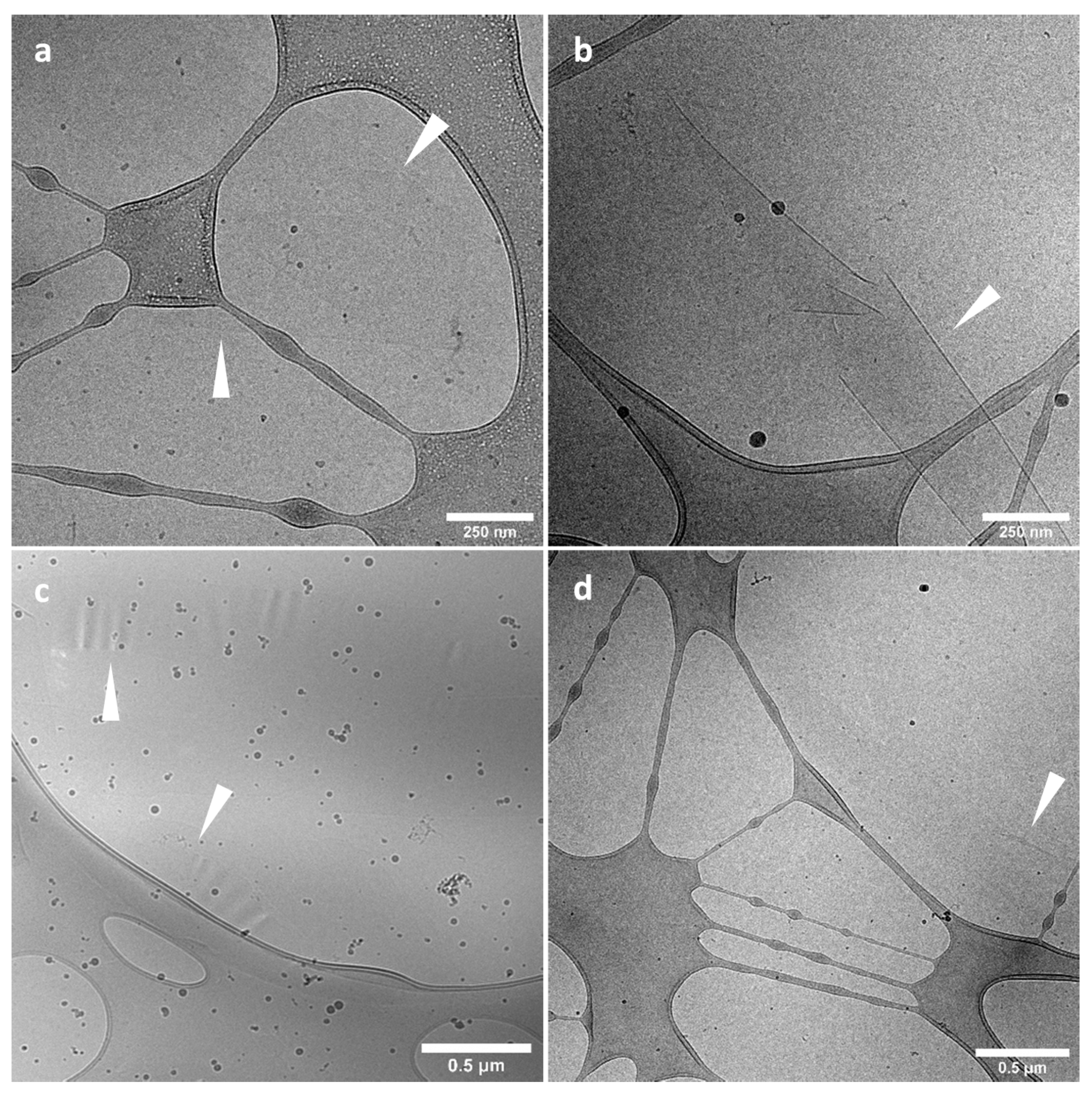 Nanomaterials 11 01673 g013