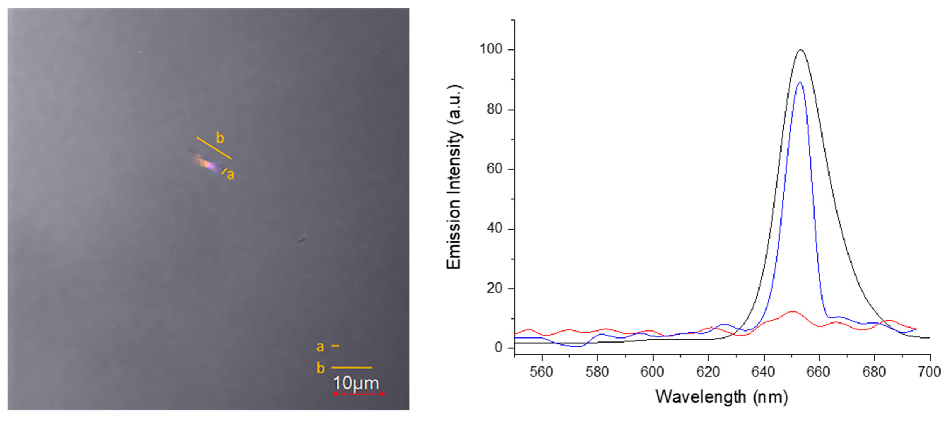 Nanomaterials 11 01673 g014