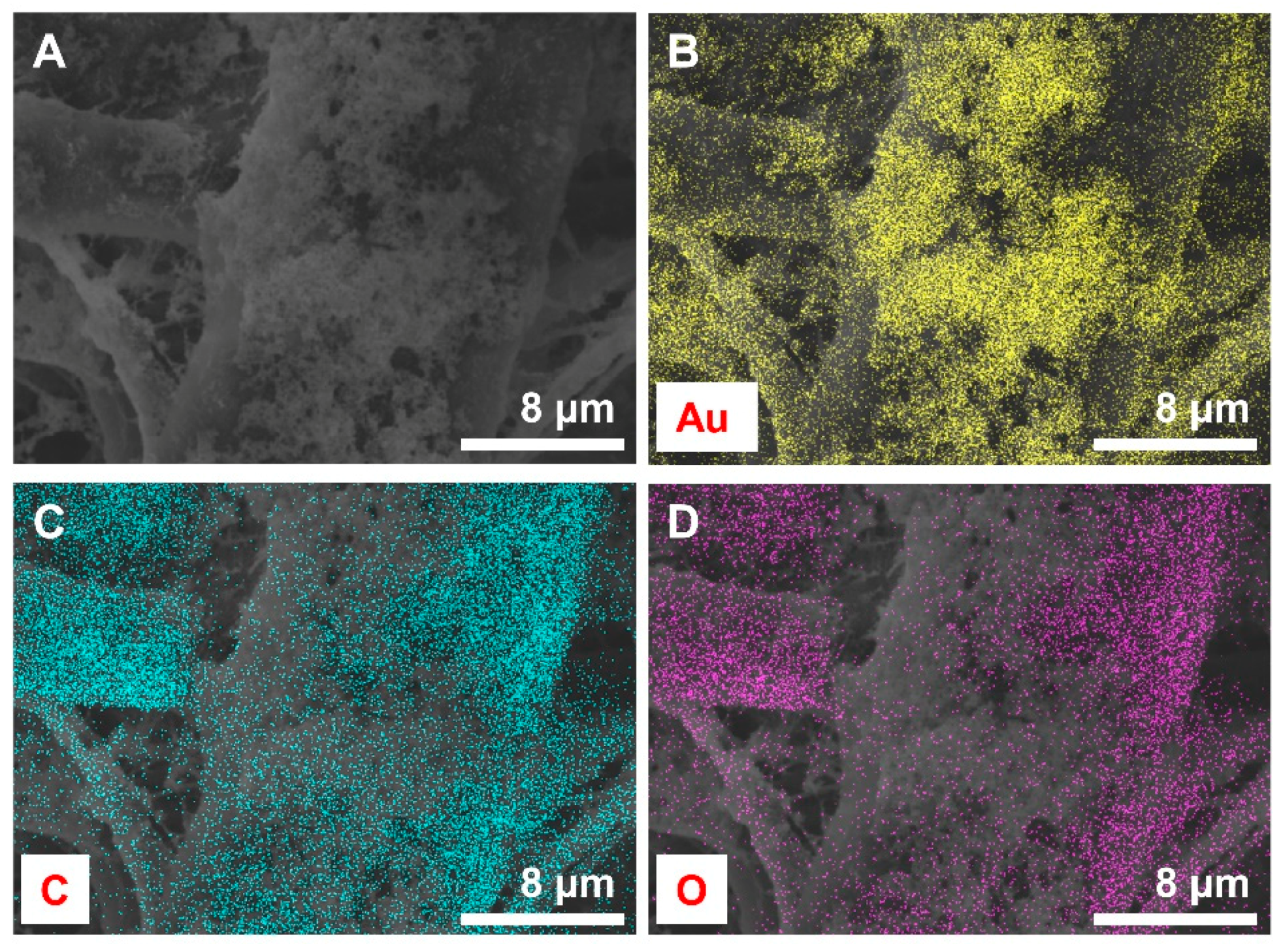 Nanomaterials 11 01678 g006