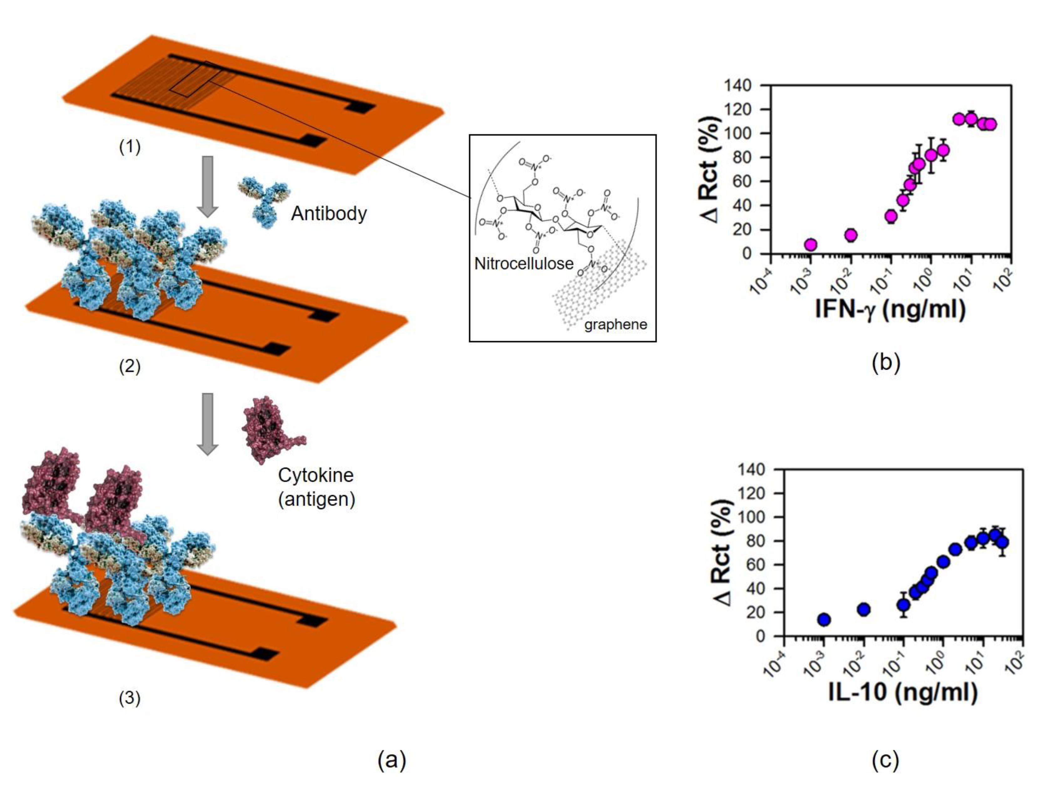 Nanomaterials 11 01684 g004