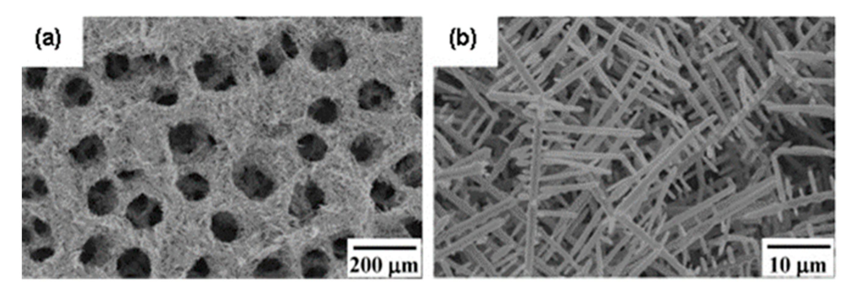 Nanomaterials 11 01686 g004
