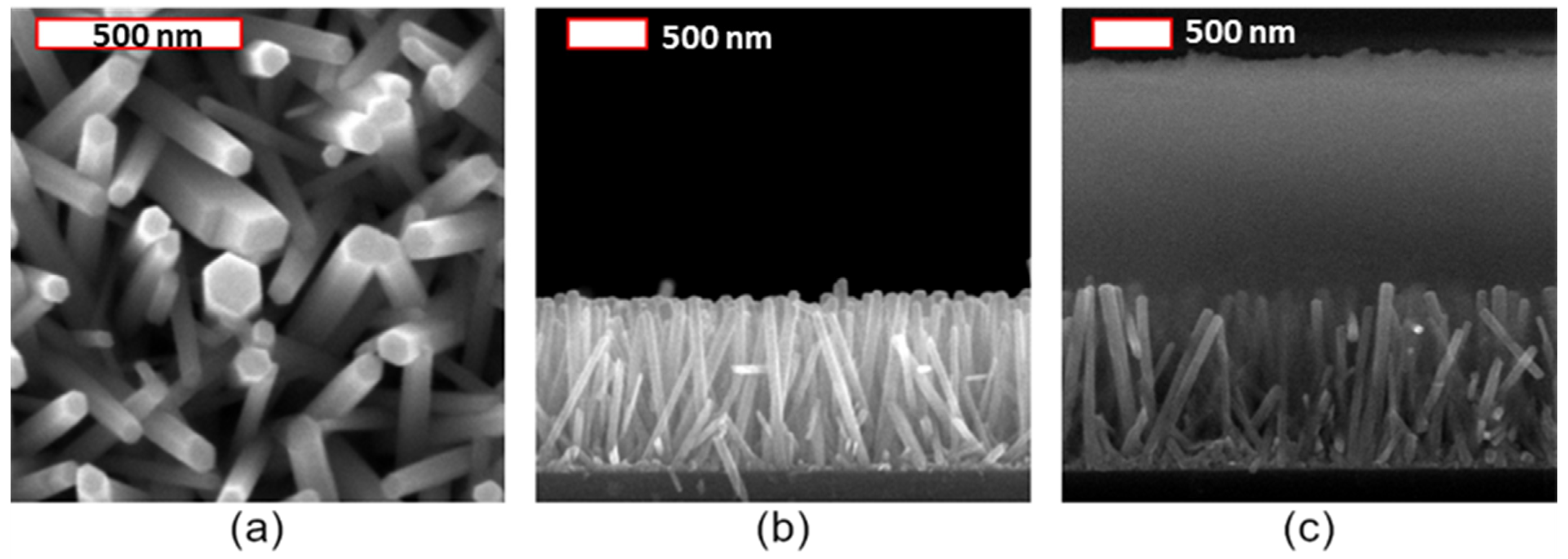Nanomaterials 11 01712 g012
