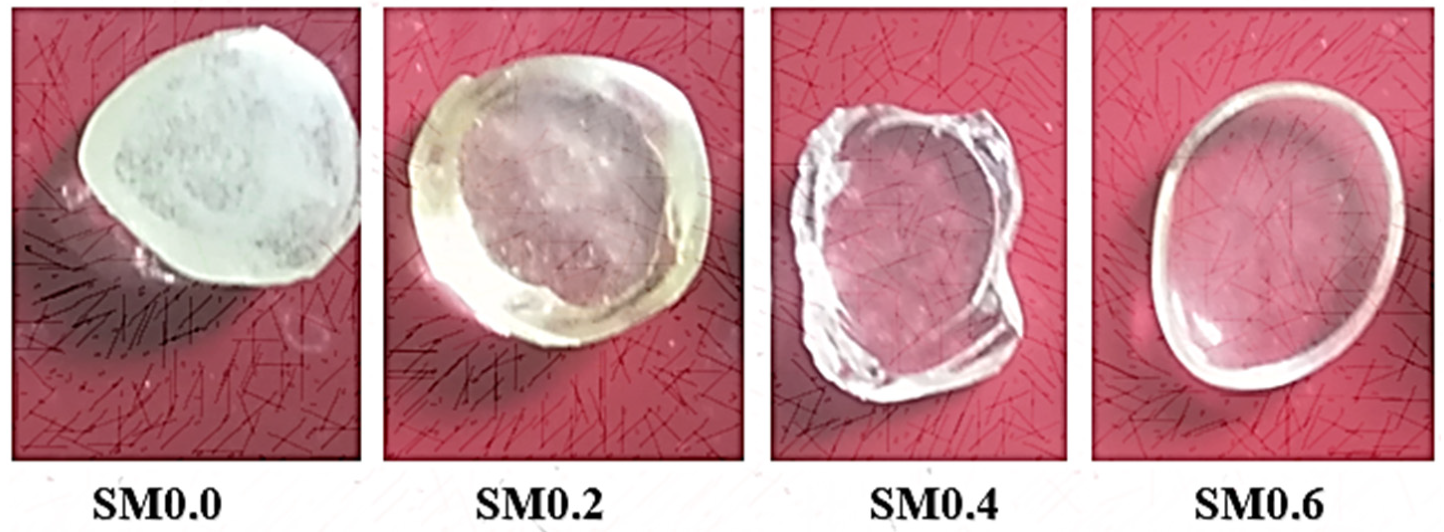 Nanomaterials 11 01713 g001